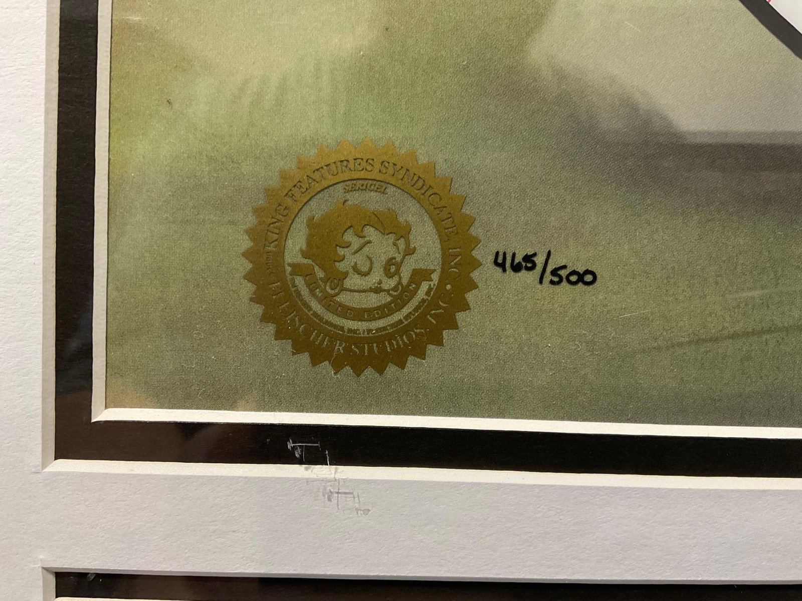 Framed Betty Boop #d 465/500 Sericel, Colorado Rockies, 26x23 inches - 4