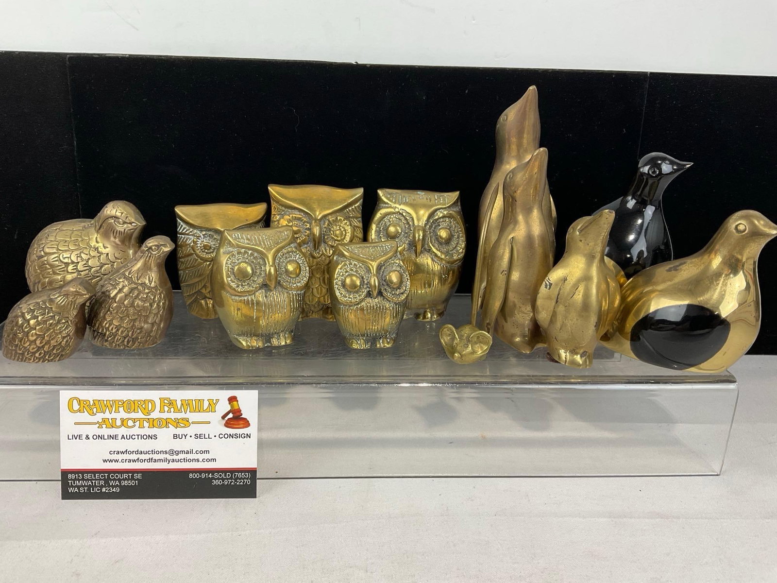 14 Cast Brass Bird Figures, Quails, Owls, Penguins, and Doves, lovely pieces: Appears to be in good shape. The piece measures approx 8h x 9w x 7d inches. See pics. E-6080