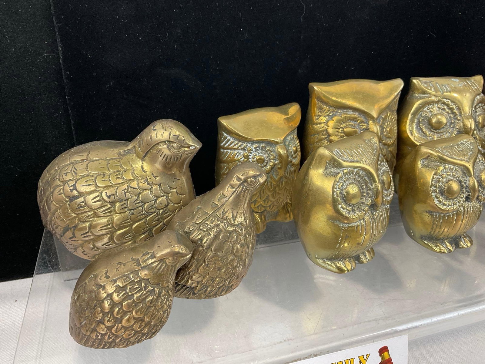 14 Cast Brass Bird Figures, Quails, Owls, Penguins, and Doves, lovely pieces - 2