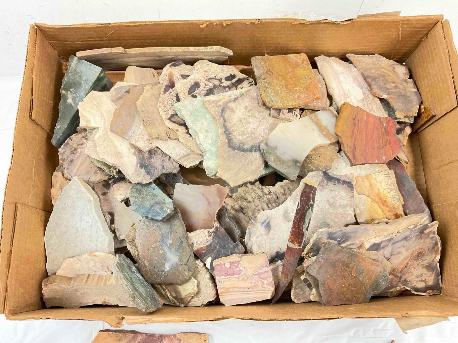 Uncounted Assortment of Loose Stone Slabs, incl. Jaspers, Agates, Petrified Wood & More. - 4