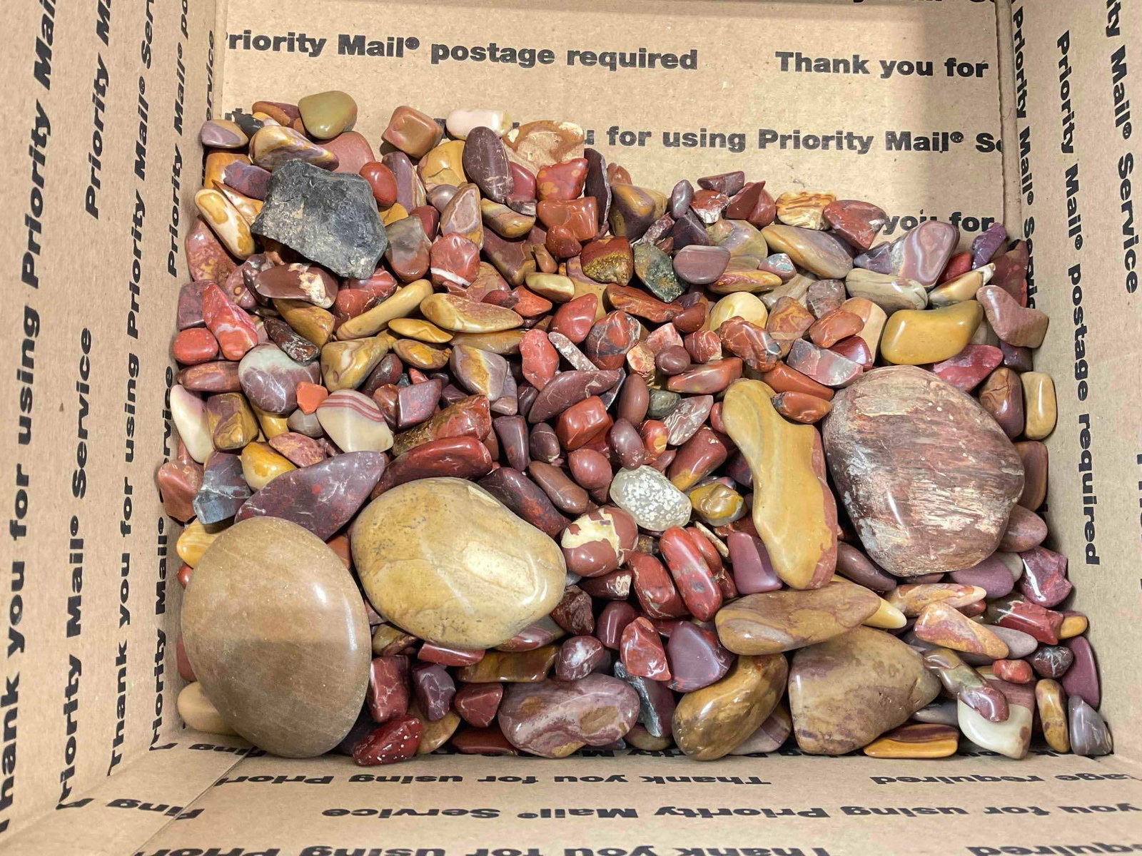 Uncounted Assortment of Largely Red Tumbled Stones, incl. Jaspers, Petrified Wood & More. - 3