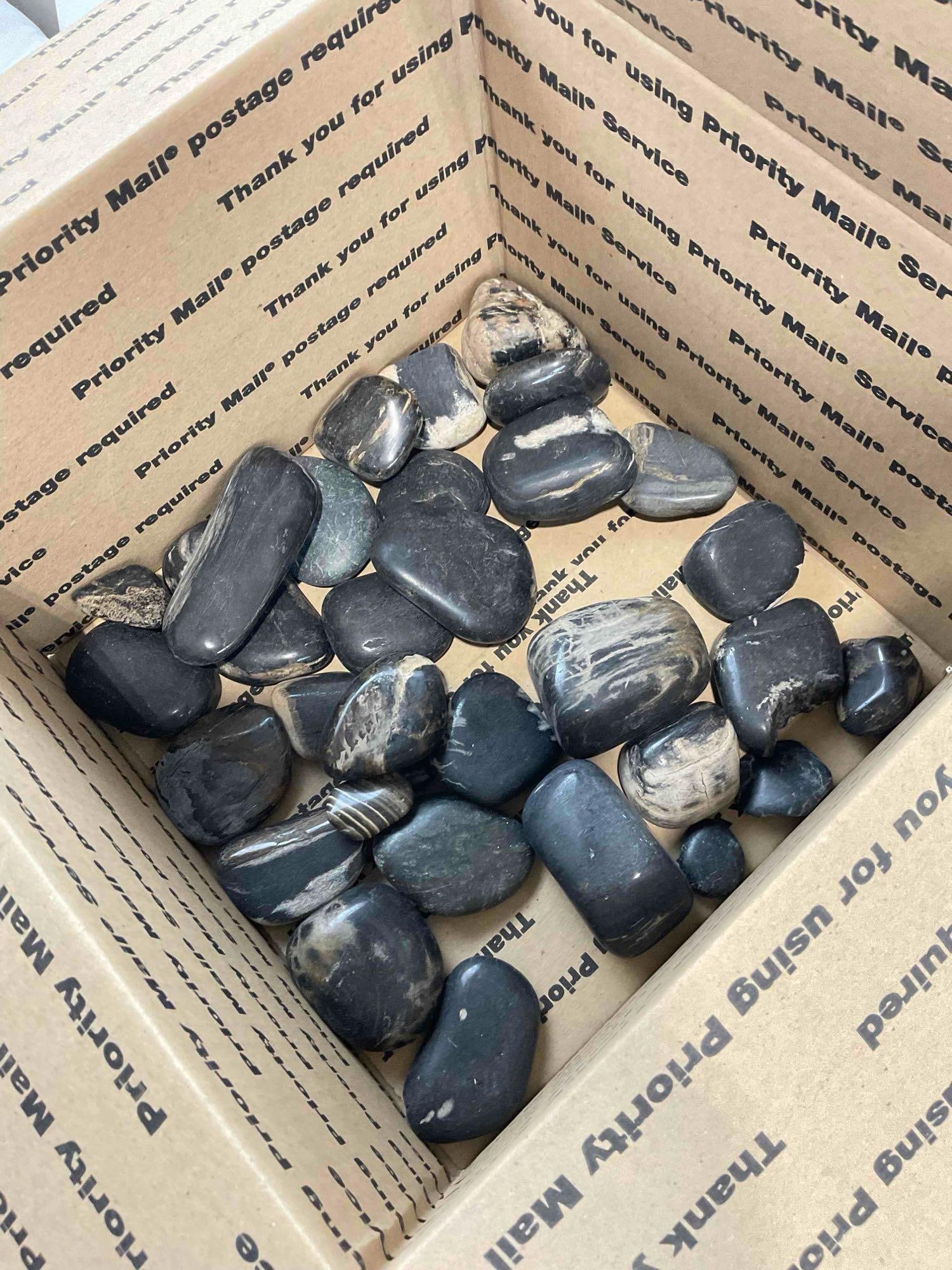 Uncounted Assortment of Tumbled Black River Rocks & Petrified Wood. Good Condition. - 3