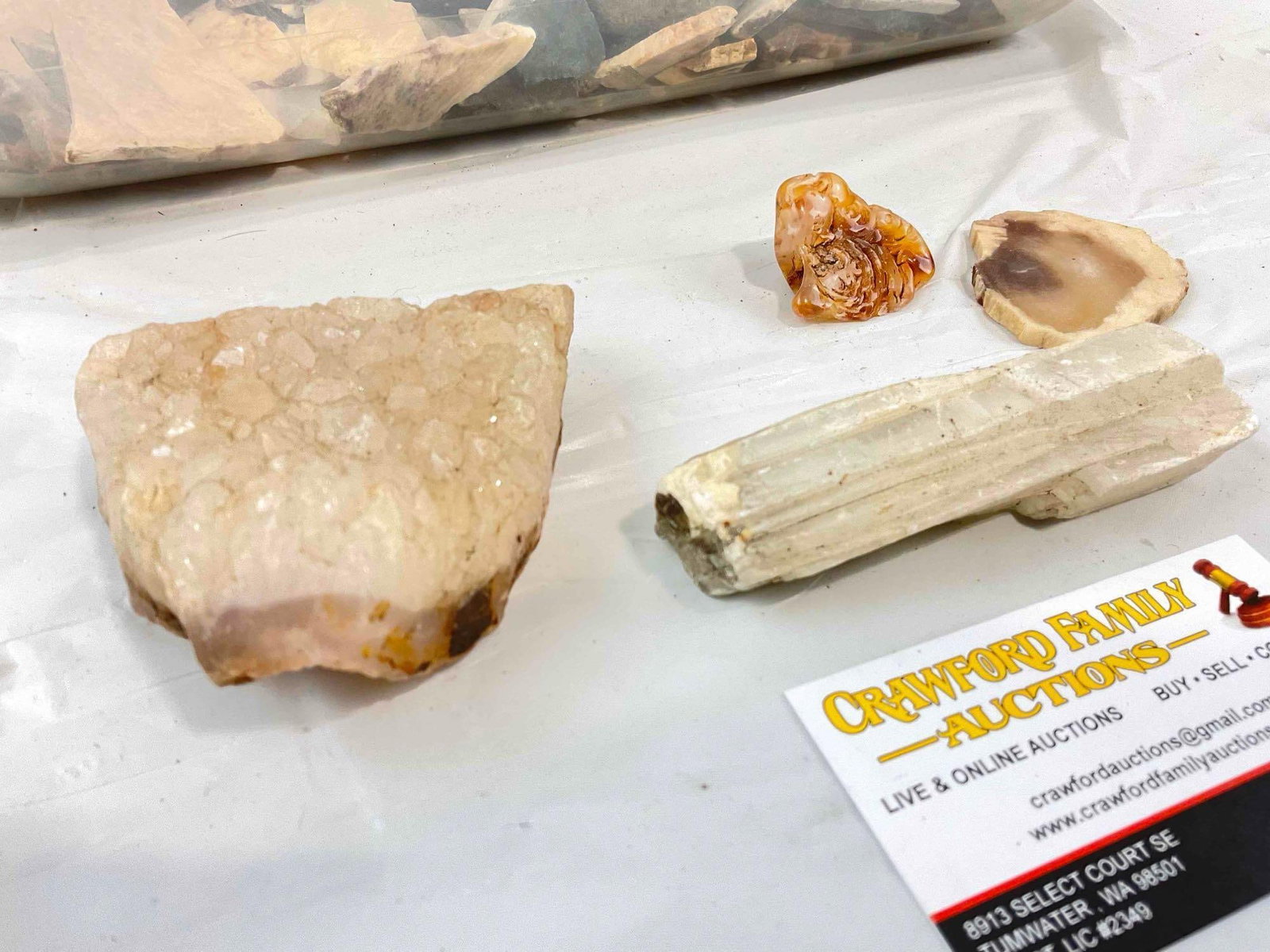 Uncounted Assortment of Loose Rocks, incl. Agates, Quartz, Selenite, Petrified Wood & More. - 2