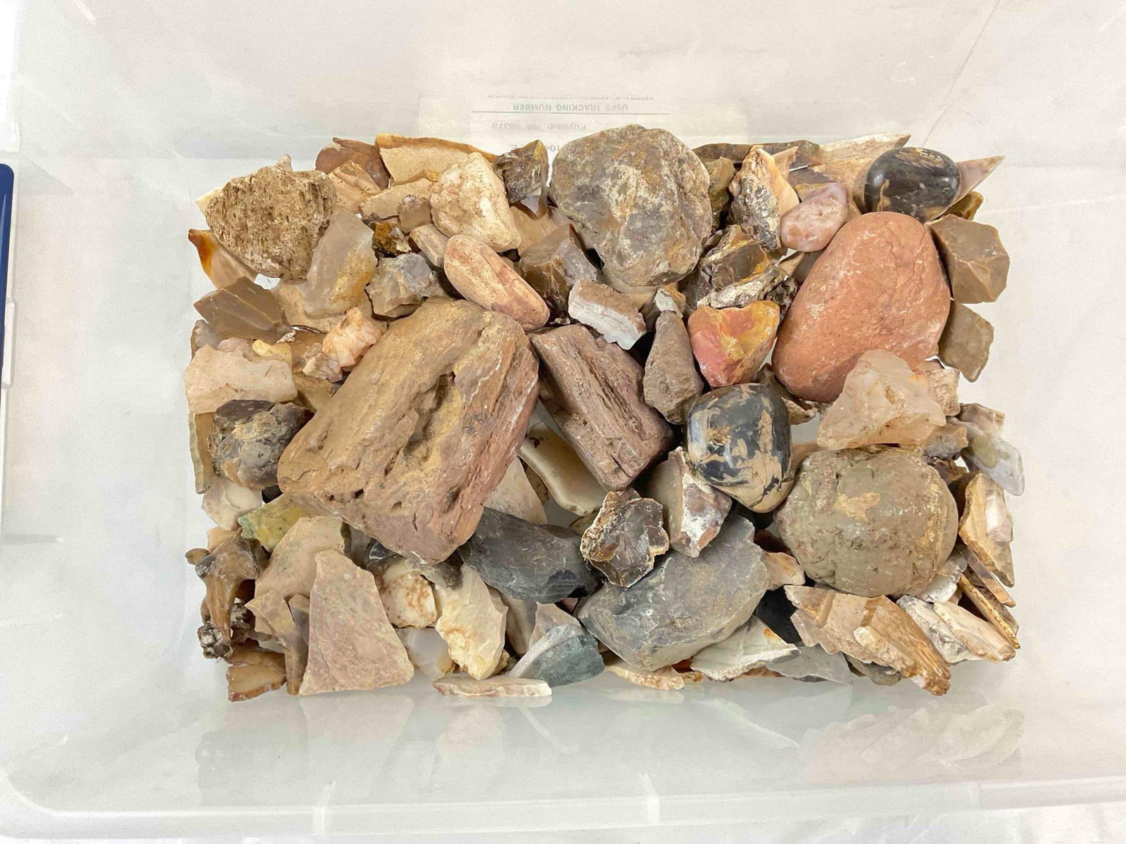 Uncounted Assortment of Loose Rocks, incl. Agates, Quartz, Selenite, Petrified Wood & More. - 3
