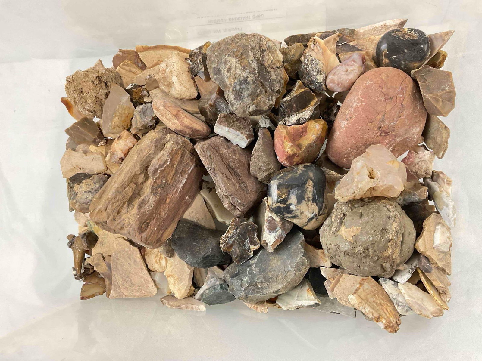 Uncounted Assortment of Loose Rocks, incl. Agates, Quartz, Selenite, Petrified Wood & More. - 4