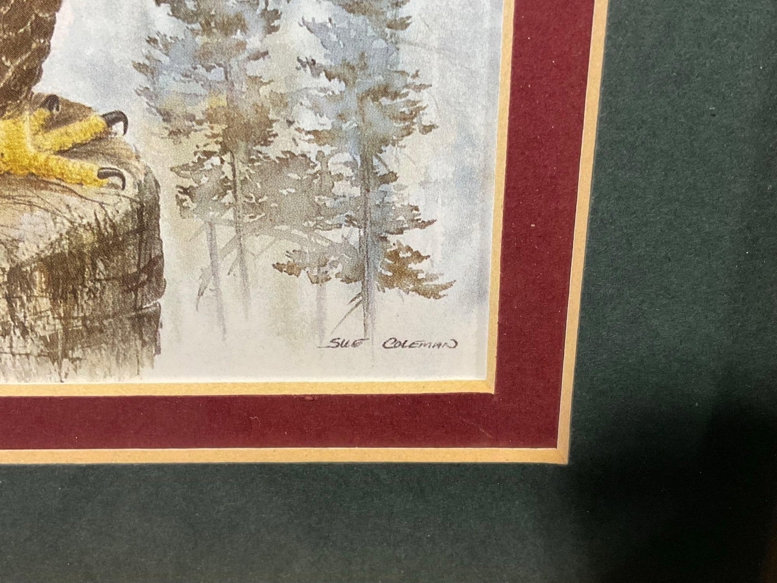 Framed Art Prints, titled Power of the Bear & The Eagle by Artist Sue Coleman, 11h x 13w inches - 4