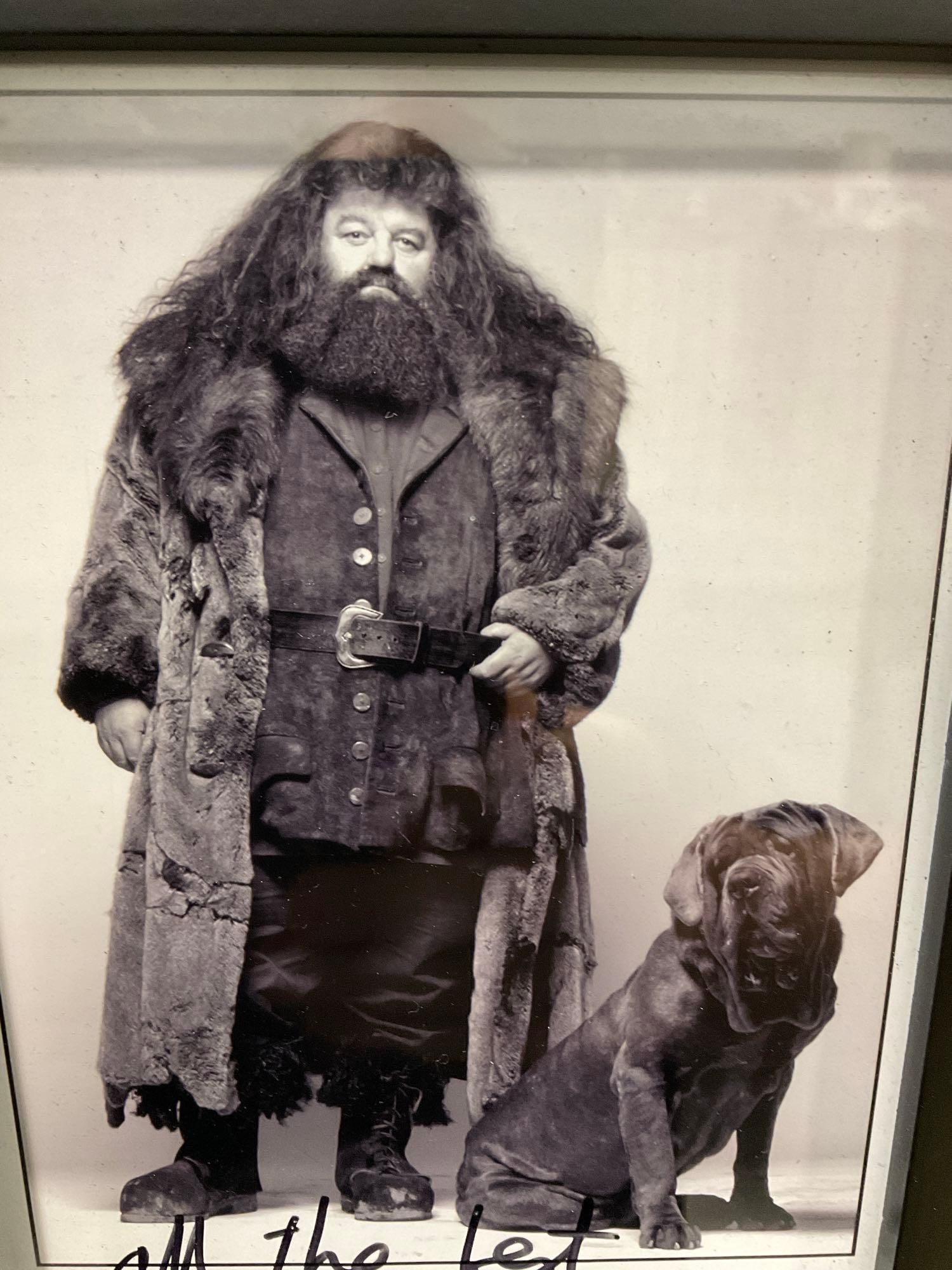 Framed Signed Picture, Robbie Coltrane - Hagrid from Harry Potter films, 10x8 inches - 2