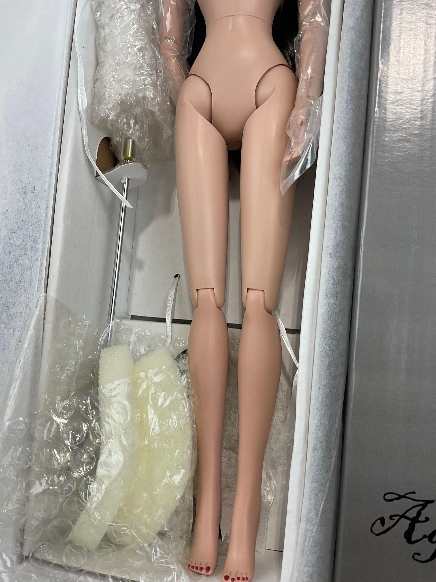 Agnes Dreary Robert Tonner Fashion Doll, Watching the Garden Die, 16 inch in original box - 3
