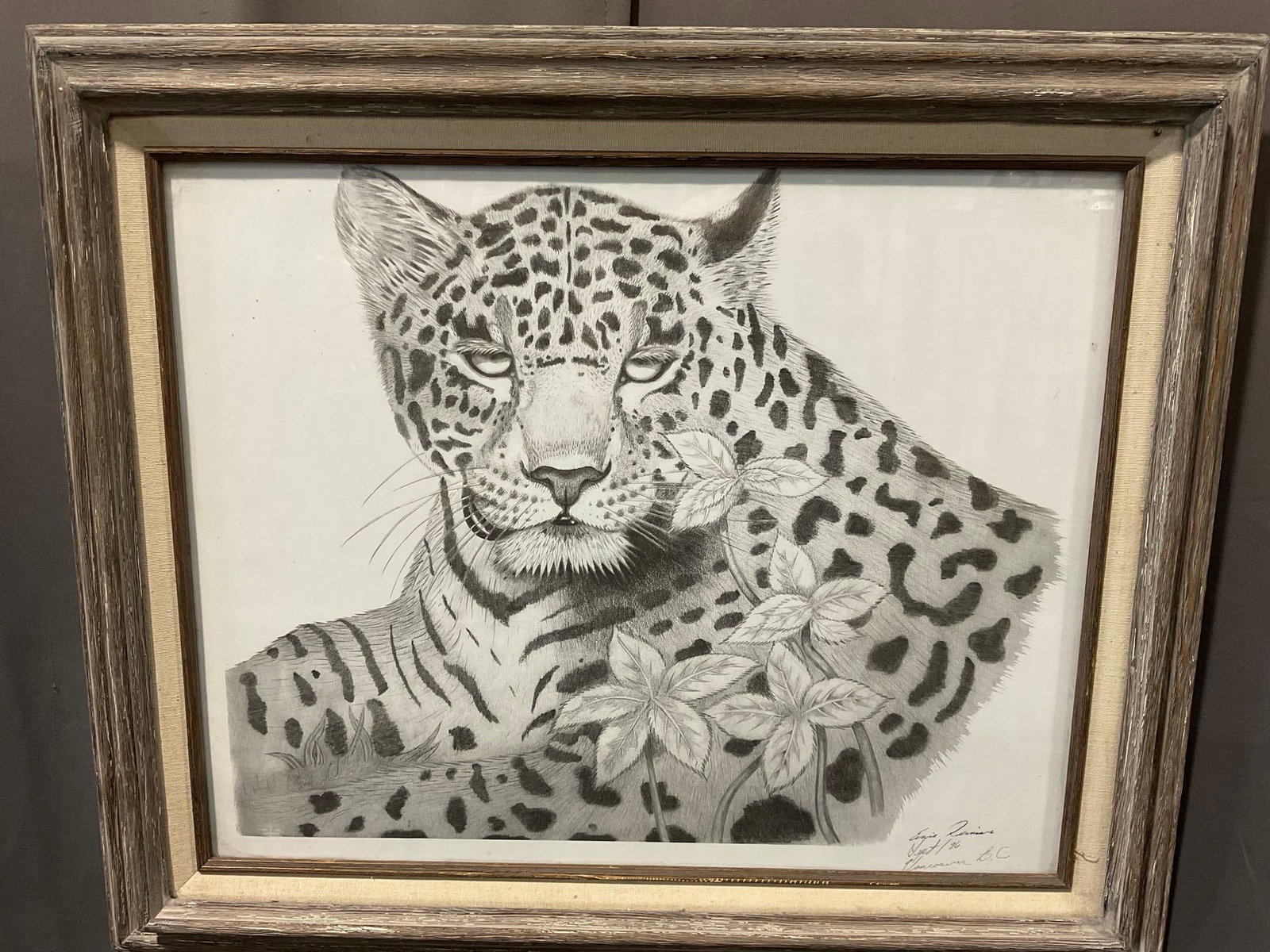 Framed Print of Leopard Pencil Illustration by Ernie Remiers sept 96, Vancouver B.C., 22x26 inches: Appears to be in good shape. The piece measures approx 22h x 26w x 3d inches. See pics. E-6230