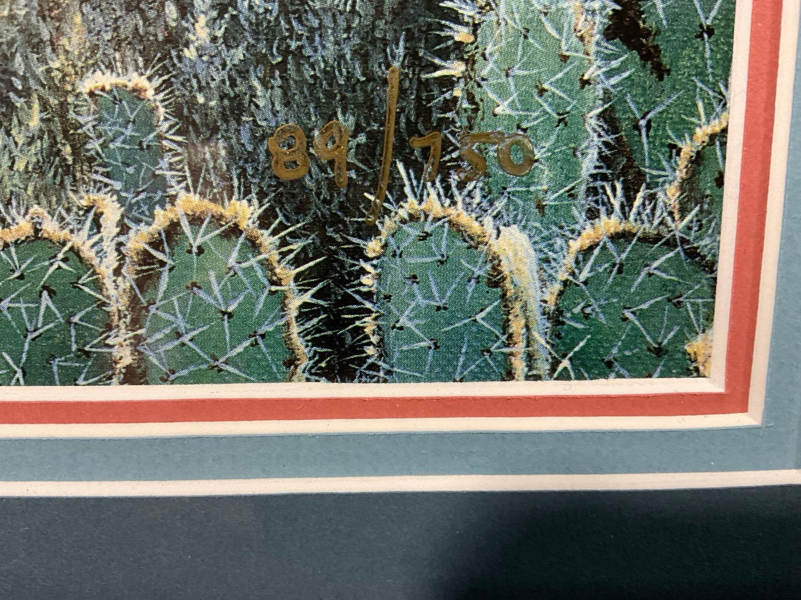 Framed lithograph Signed & #d 89/750 titled Saguaro scout by Doug Miller, 31 x 26 inches - 9