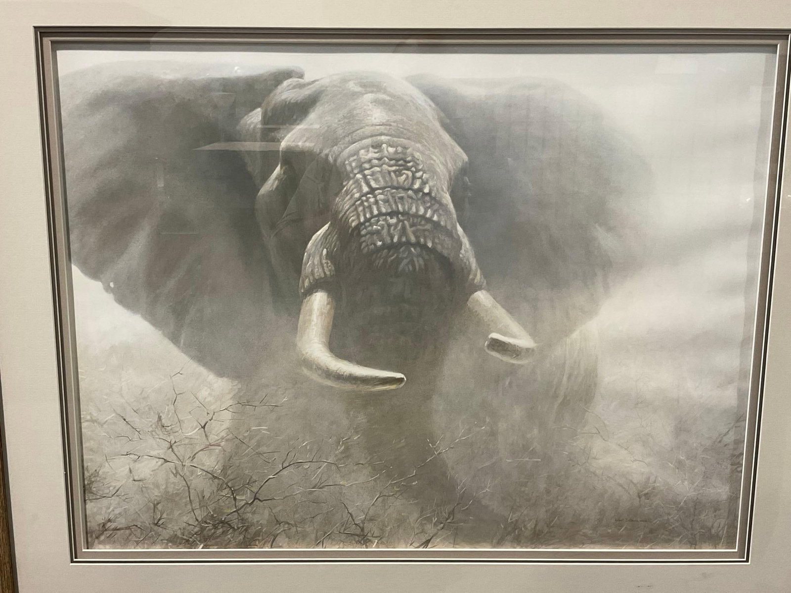 Framed Signed & #d 610/1550 Litho, titled Tembo by Robert Bateman, 32x38 inch: The number & signature are somewhat hidden All from the same collection. Appears to be in good shape. The piece measures approx 32h x 38w x 4d inches. See pics. E-6350 *Oversized shipping