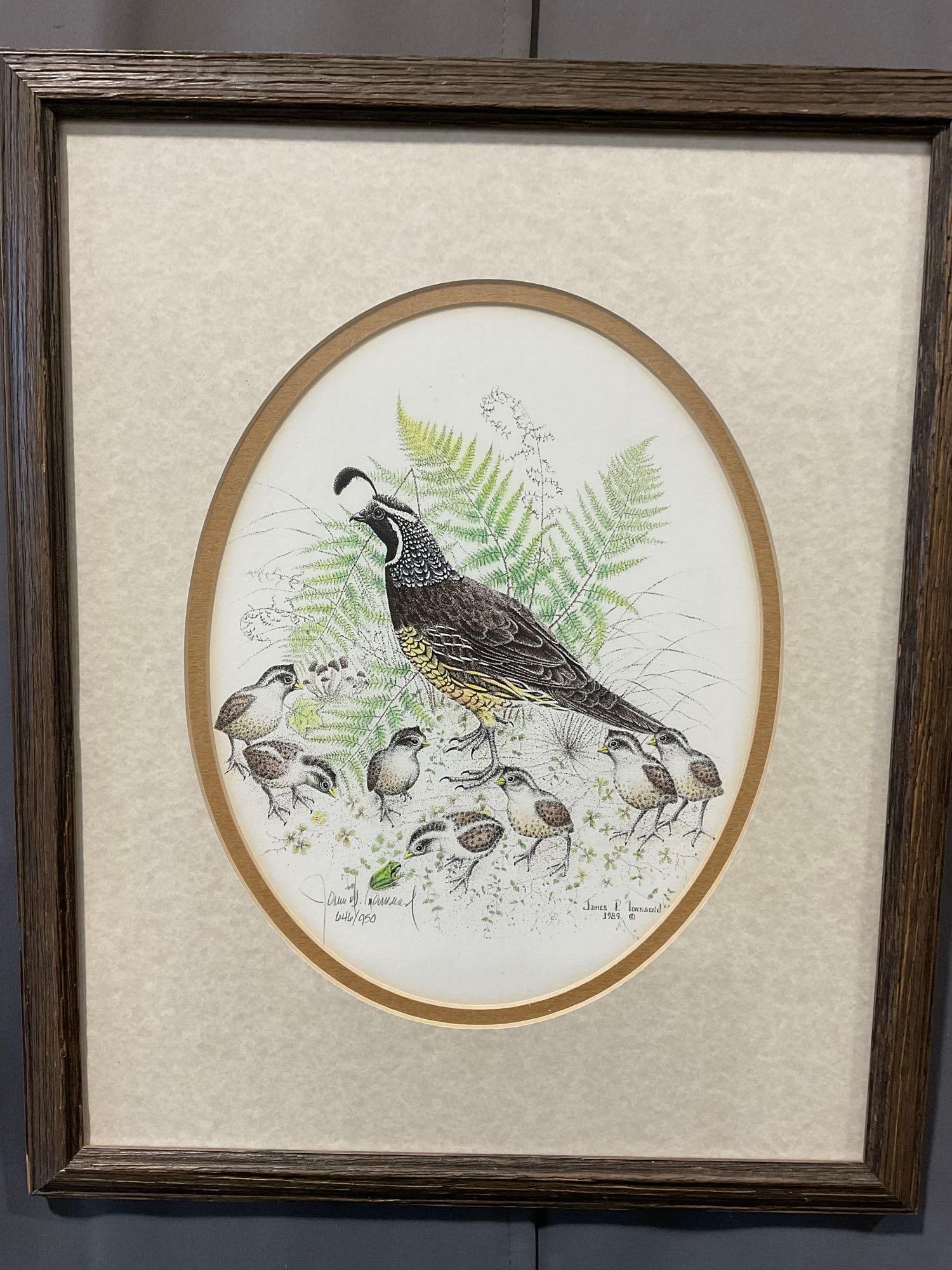 Framed signed & #d 646/950 California Quail by James P. Townsend, 23x19 inches: Appears to be in good shape. The piece measures approx 23h x 19w x 3d inches. See pics. E-5750