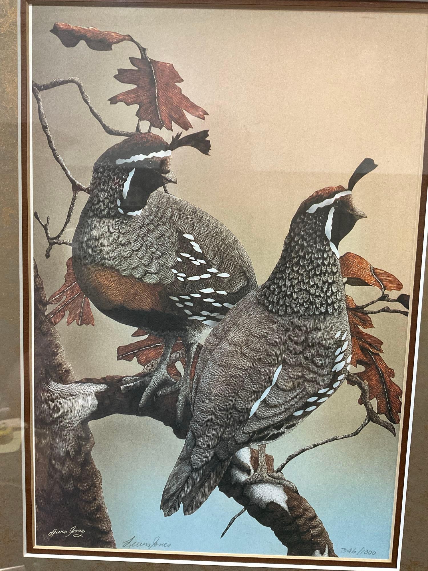 Framed Signed & #d 346/1000 Lithograph California Quails by Lucas Jones, 23x19 - 2