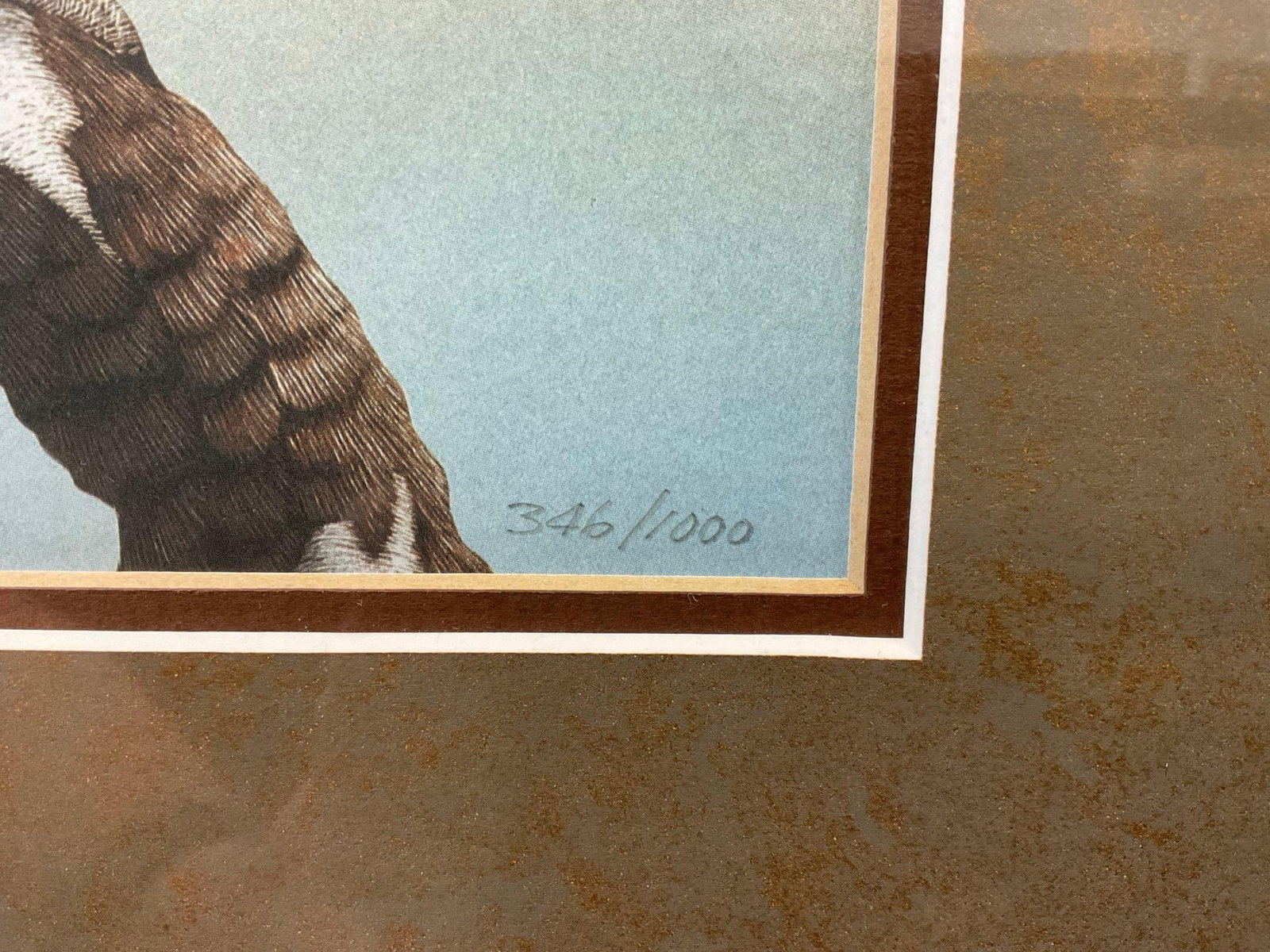 Framed Signed & #d 346/1000 Lithograph California Quails by Lucas Jones, 23x19 - 4