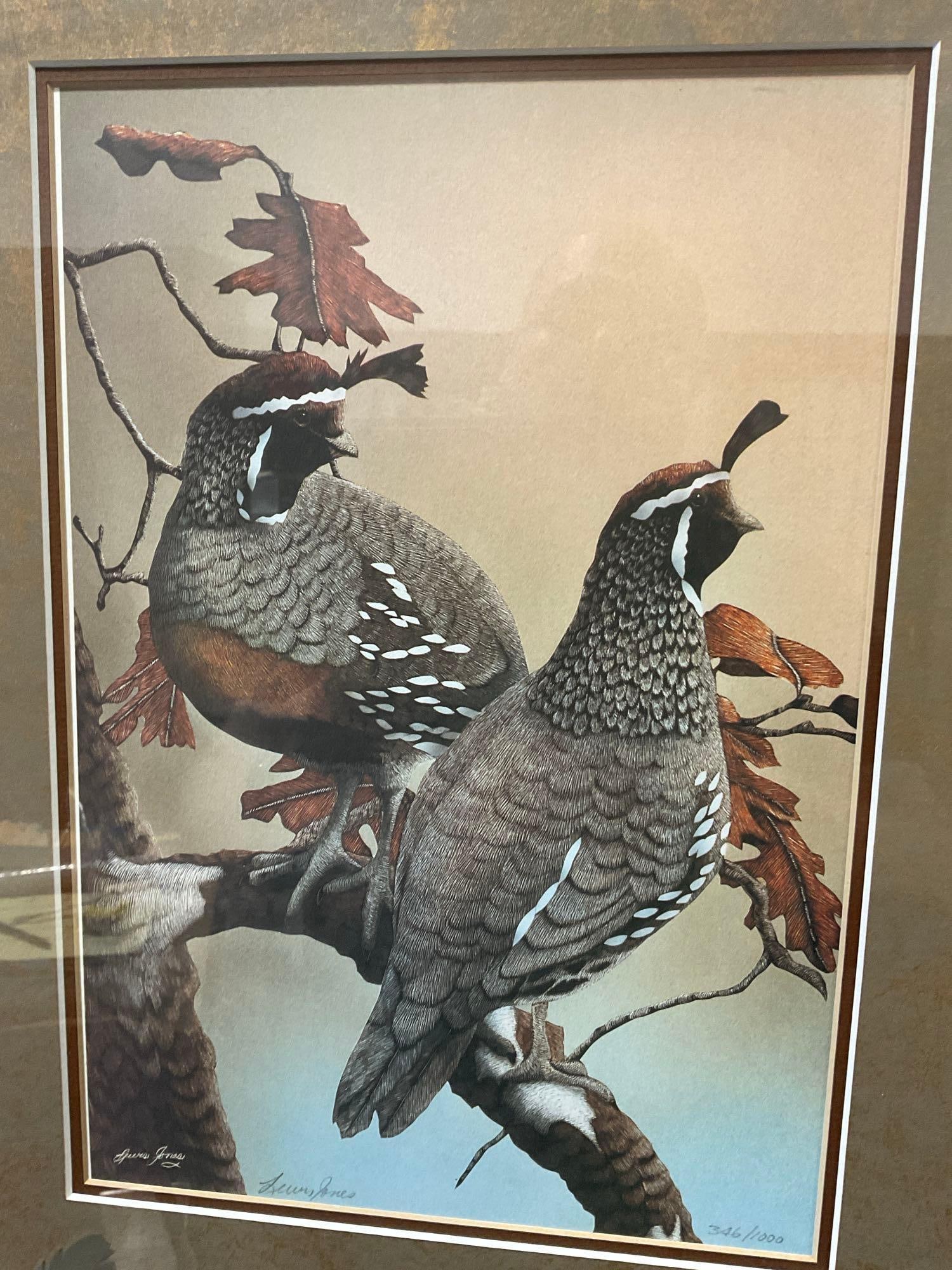 Framed Signed & #d 346/1000 Lithograph California Quails by Lucas Jones, 23x19 - 5