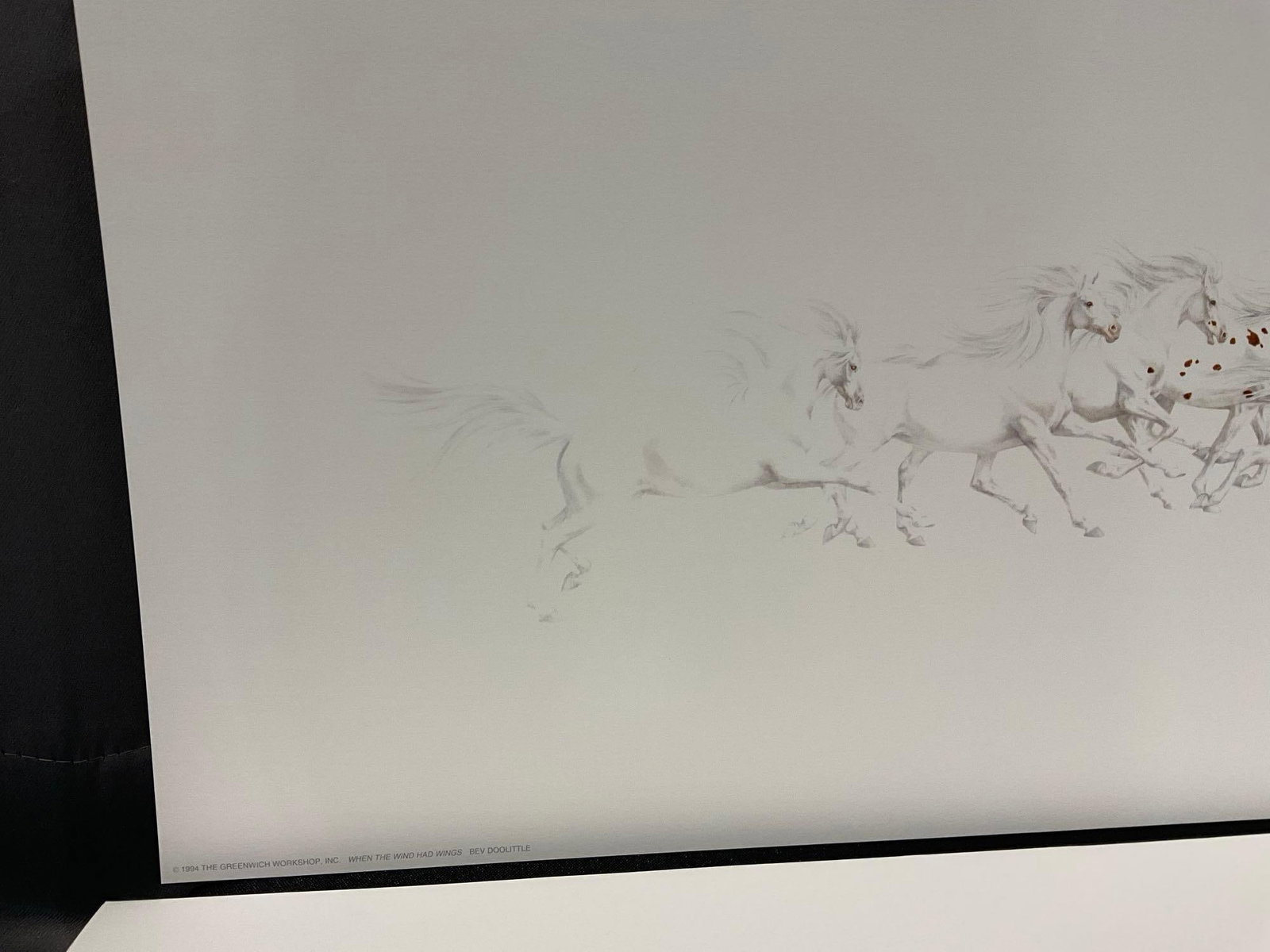 Unframed Signed & #d 25244/57500 Lithograph titled When The Wind Had Wings by Bev Doolittle 11x51... - 2