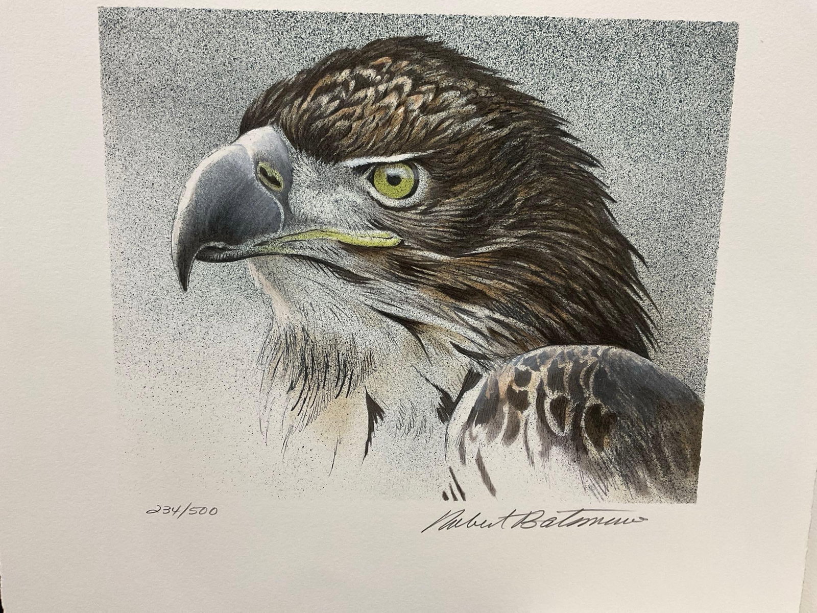 Unframed Signed & #d 234/500 Lithograph titled Vigilance by Robert Bateman 1993, 14x18 inches - 2