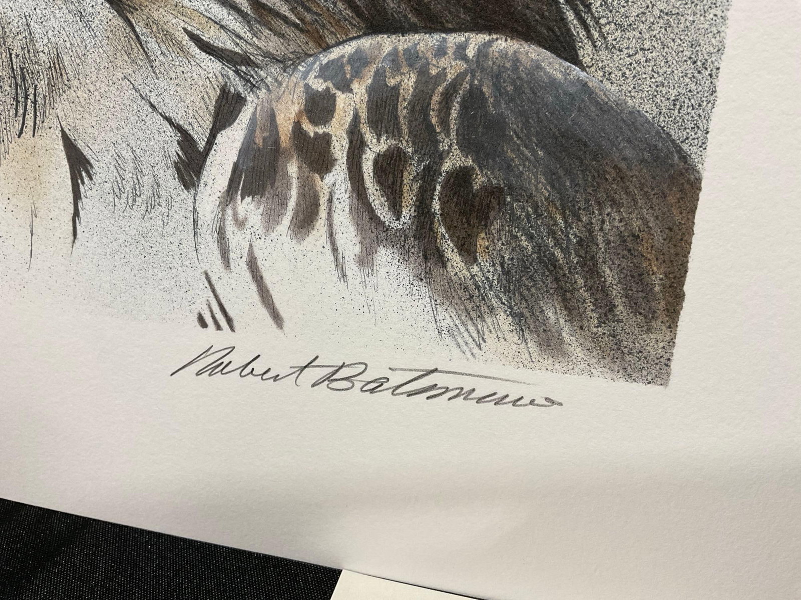 Unframed Signed & #d 234/500 Lithograph titled Vigilance by Robert Bateman 1993, 14x18 inches - 3