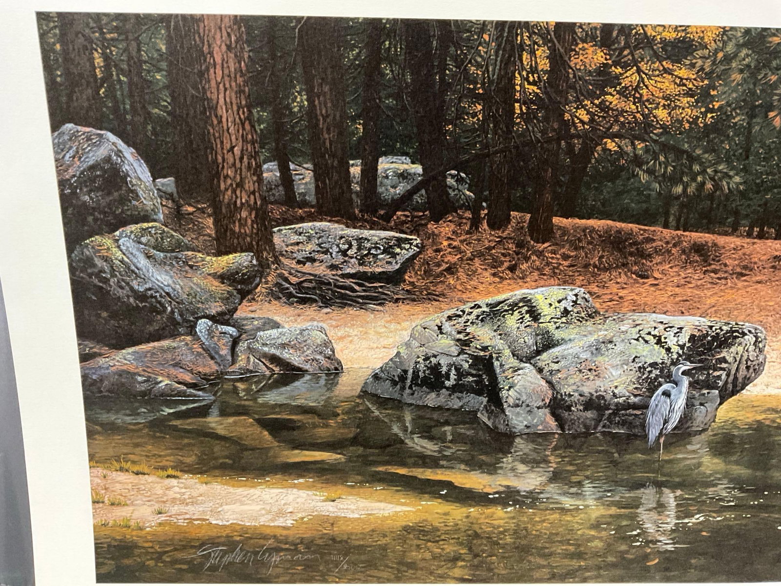 Unframed Signed & #d 1148/2500 Lithograph, Riparian Riches by Stephen Lyman 1993, 19x51 in w/COA - 3