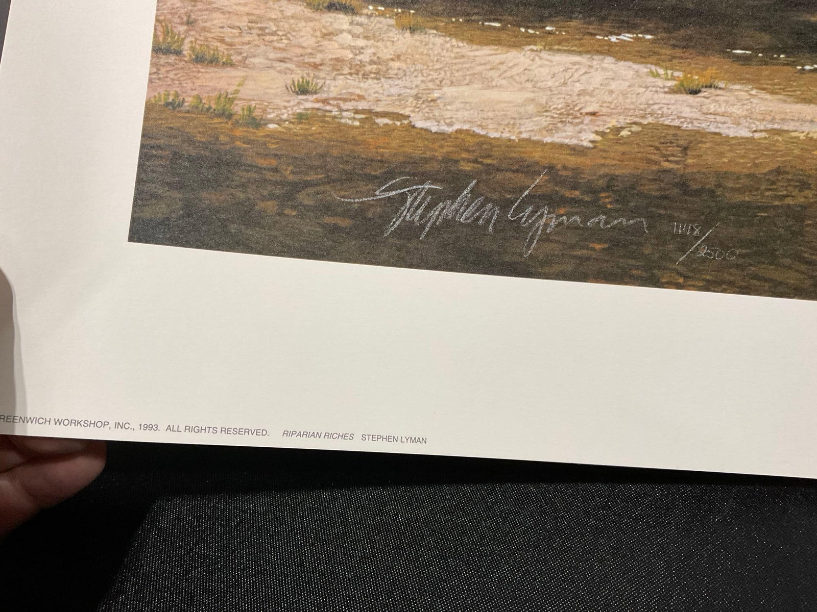 Unframed Signed & #d 1148/2500 Lithograph, Riparian Riches by Stephen Lyman 1993, 19x51 in w/COA - 4