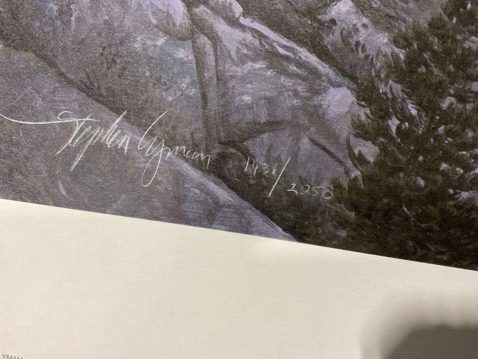 Unframed Signed & #d 1431/2250 Lithograph Lake of the Shining Rocks by Stephan Lyman, 1993, 27x39... - 7