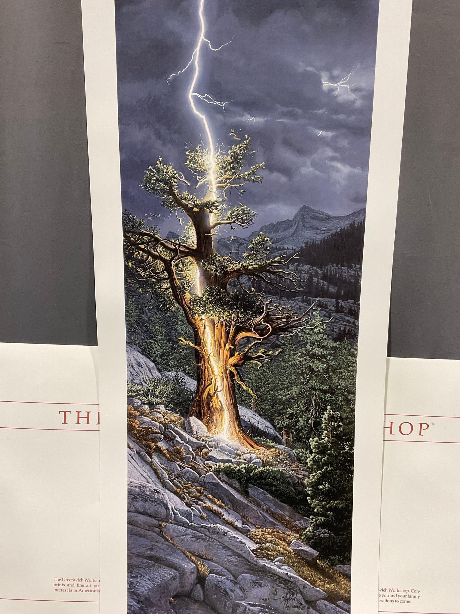 Unframed Signed & #d 3611/7500 Lithograph titled Thunderbolt by Stephen Lyman 1995, 19x39 in w/COA - 2