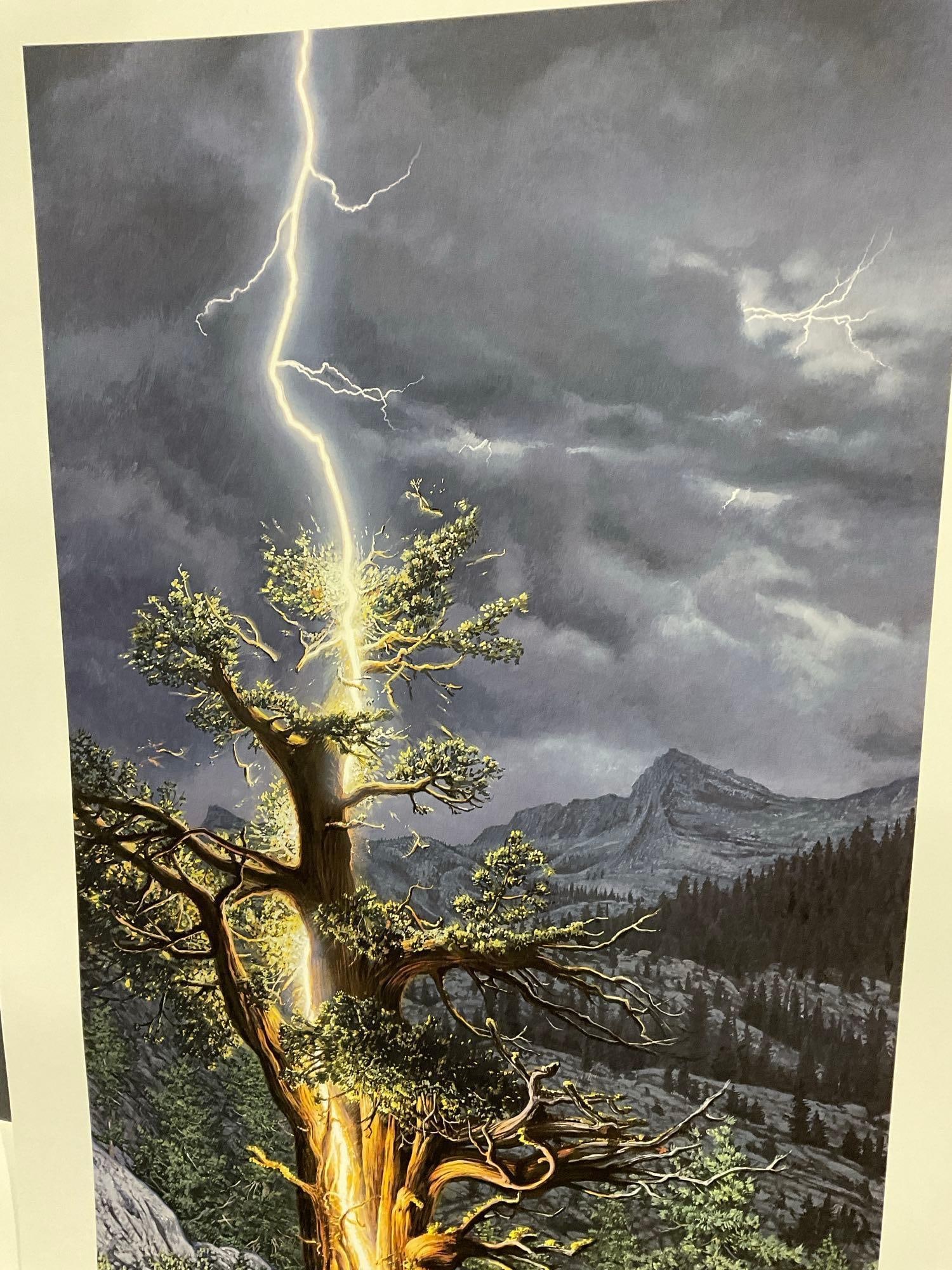 Unframed Signed & #d 3611/7500 Lithograph titled Thunderbolt by Stephen Lyman 1995, 19x39 in w/COA - 3