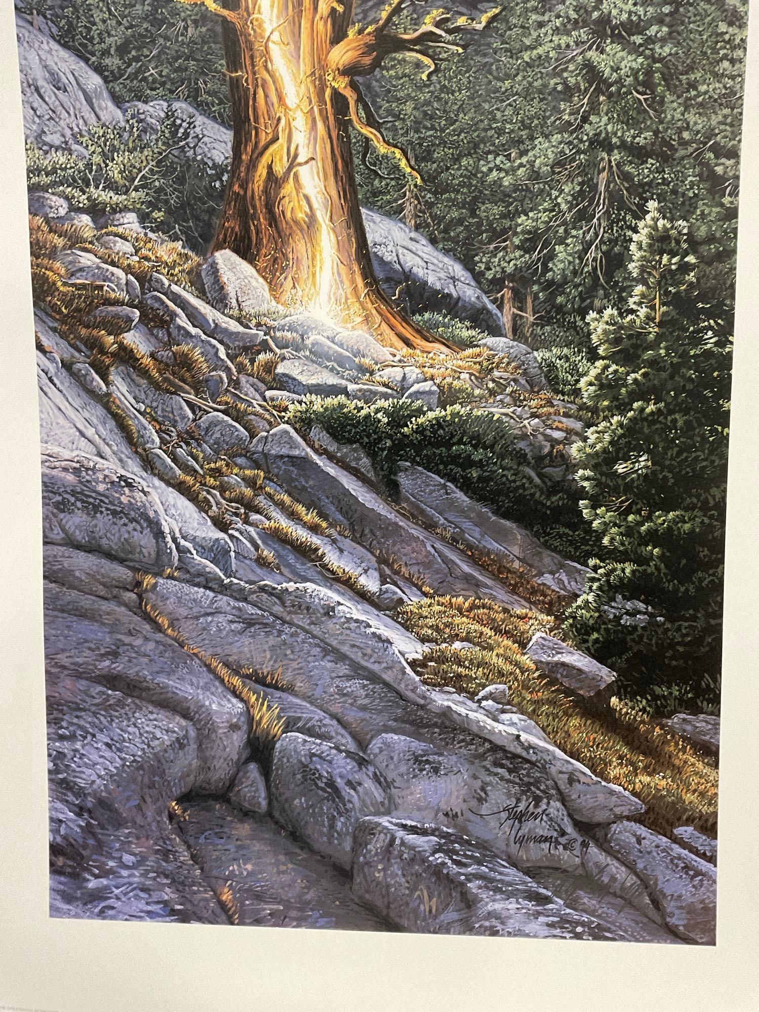 Unframed Signed & #d 3611/7500 Lithograph titled Thunderbolt by Stephen Lyman 1995, 19x39 in w/COA - 4
