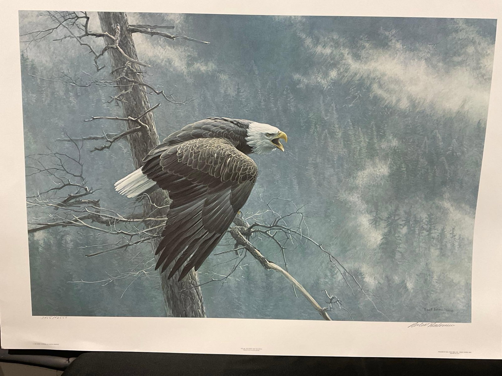 Unframed Signed & #d 3485/42558 Litho, The Air, the Forest, & the Watch by Robert Bateman, 29x41 in - 2