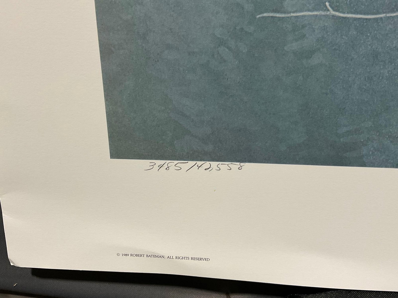 Unframed Signed & #d 3485/42558 Litho, The Air, the Forest, & the Watch by Robert Bateman, 29x41 in - 3