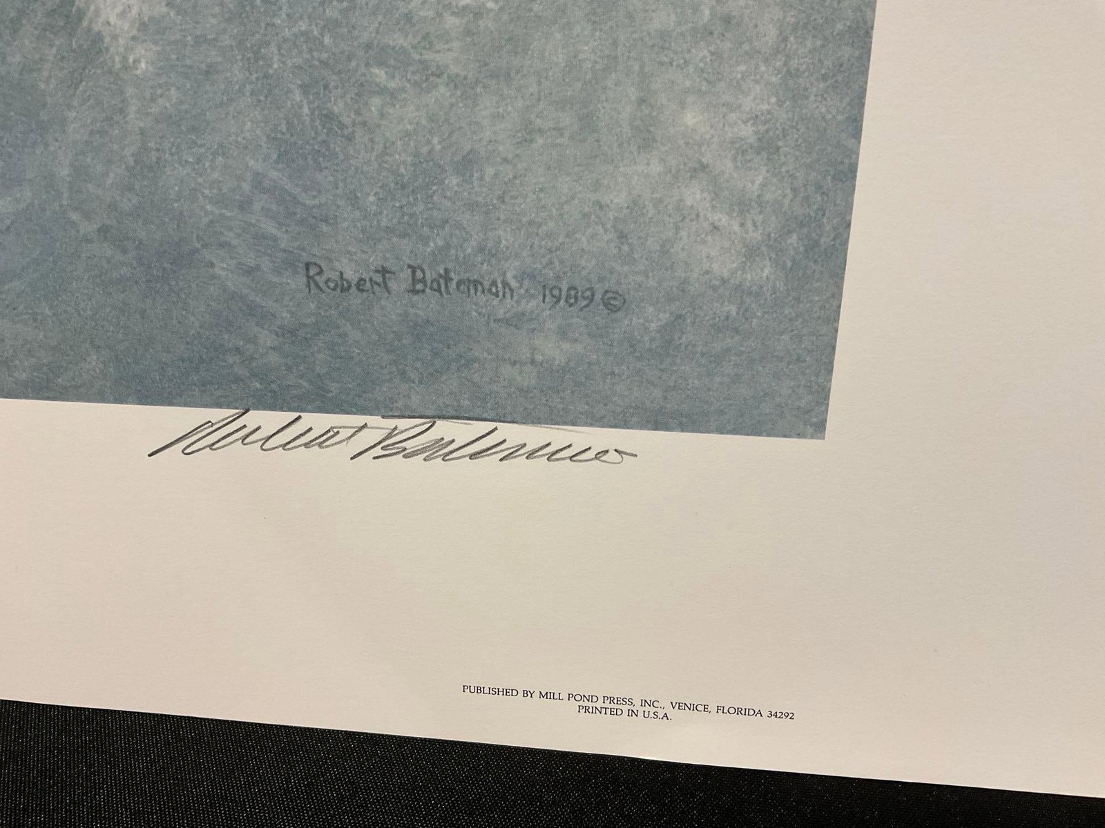 Unframed Signed & #d 3485/42558 Litho, The Air, the Forest, & the Watch by Robert Bateman, 29x41 in - 4