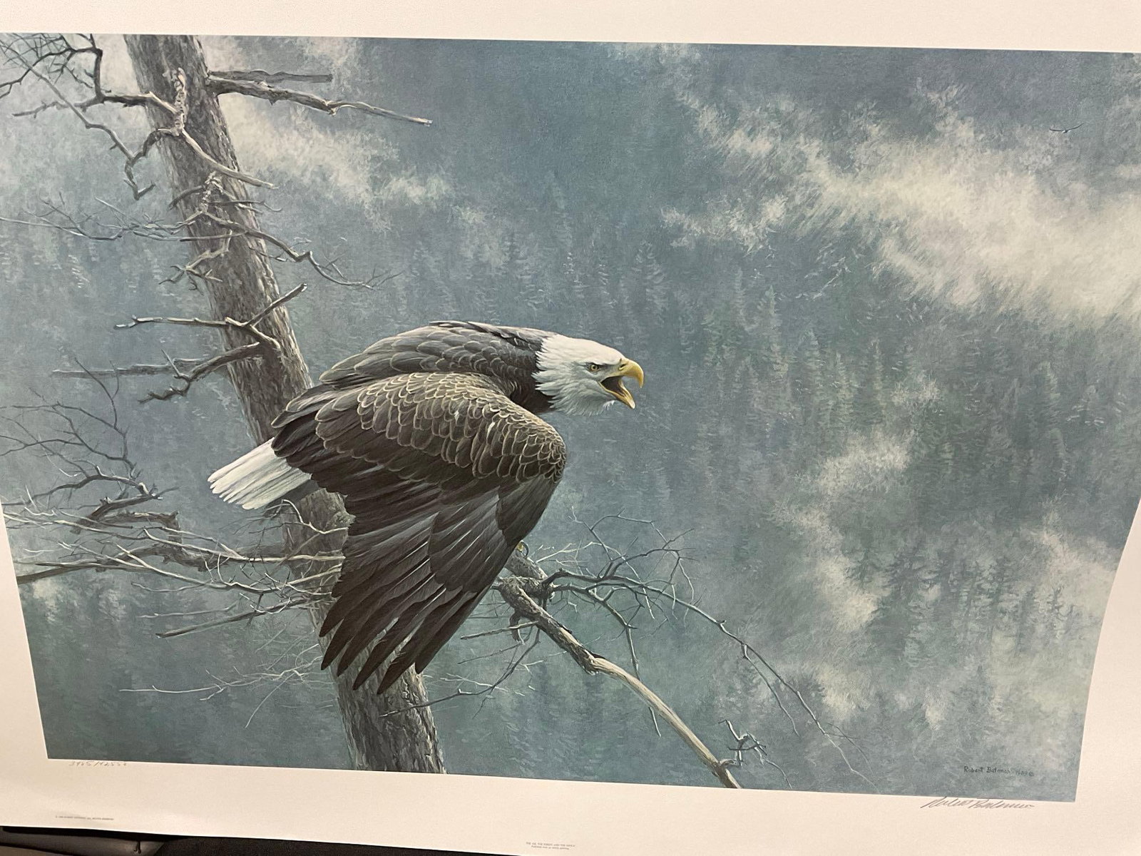 Unframed Signed & #d 3485/42558 Litho, The Air, the Forest, & the Watch by Robert Bateman, 29x41 in - 7