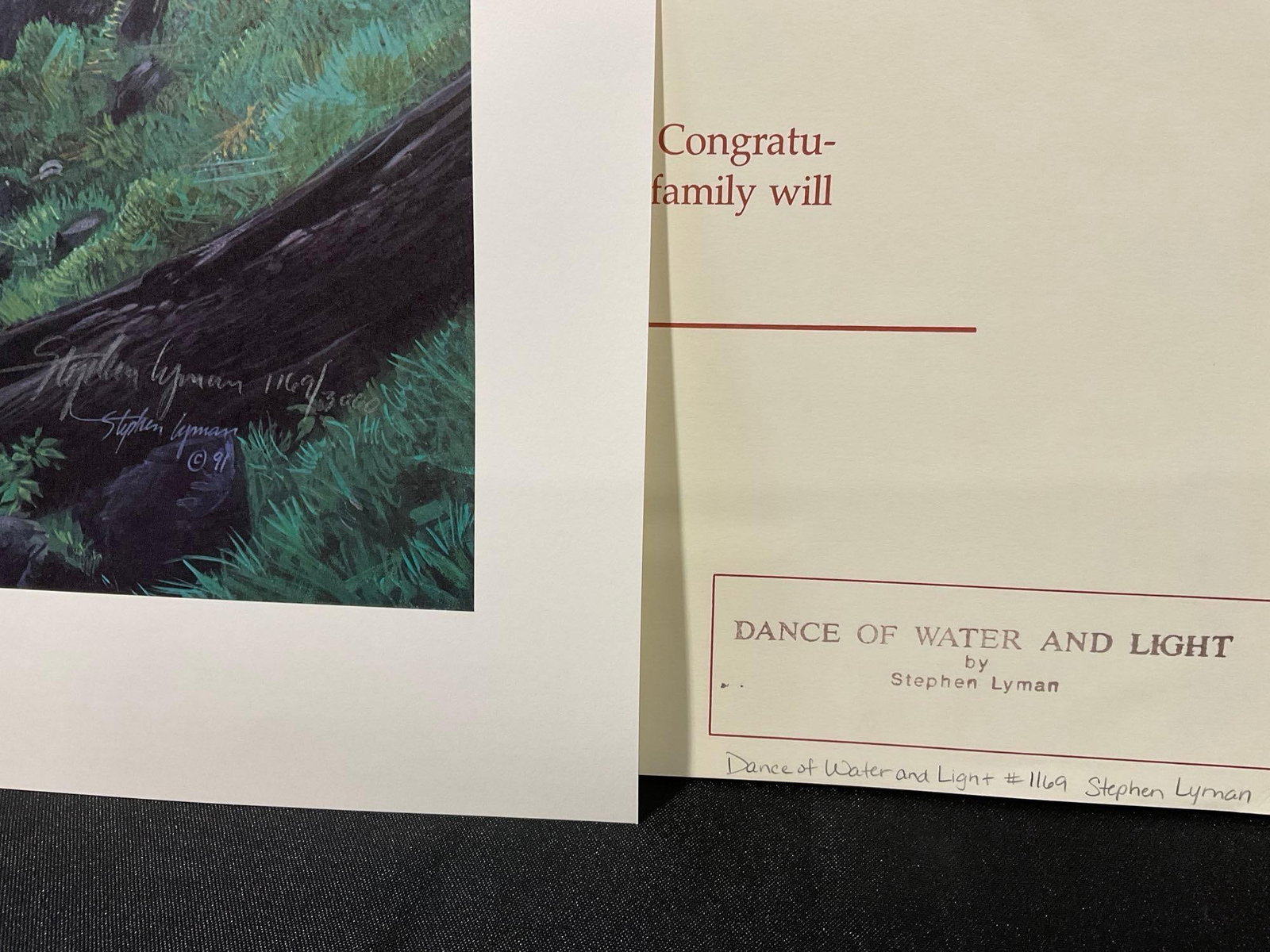 Unframed Signed & #d 1169/3000 Litho Dance of Water & Light by Stephen Lyman 1991, 25x37 inch - 5