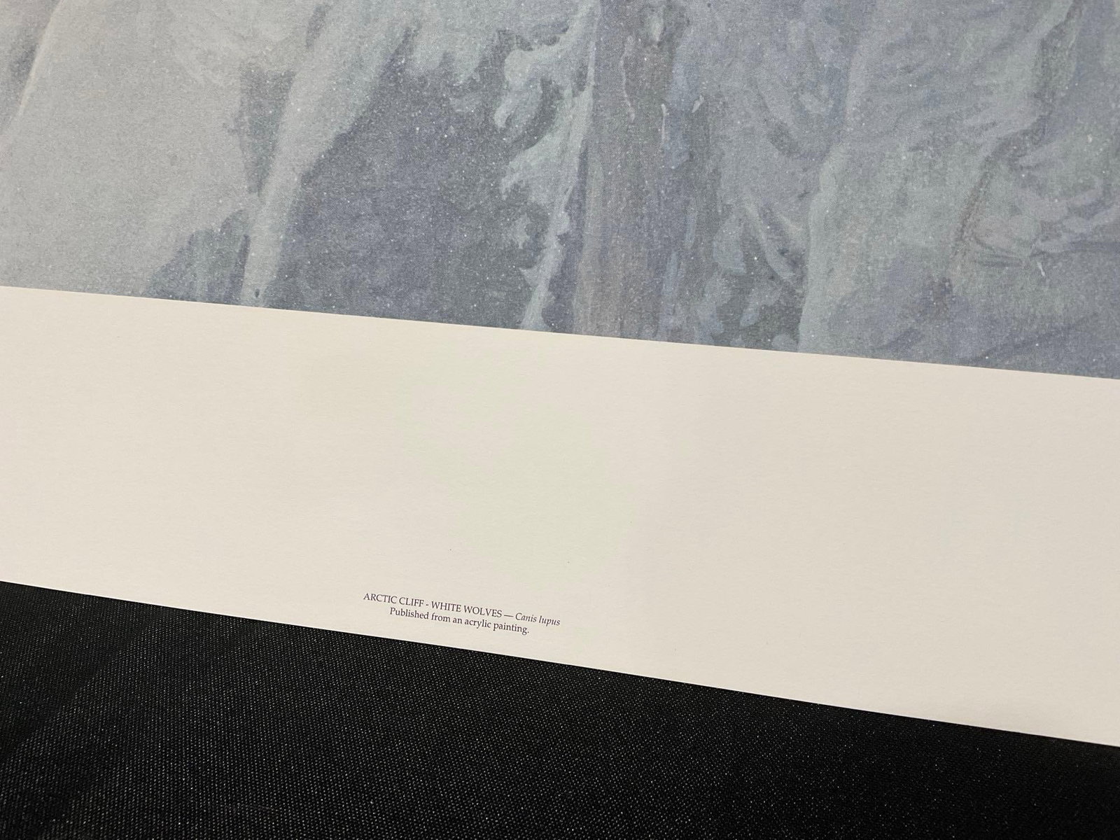 Unframed Signed & #d 869/13000 Litho, Arctic Cliff - White Wolves by Robert Bateman 1991 27x39 w/... - 5