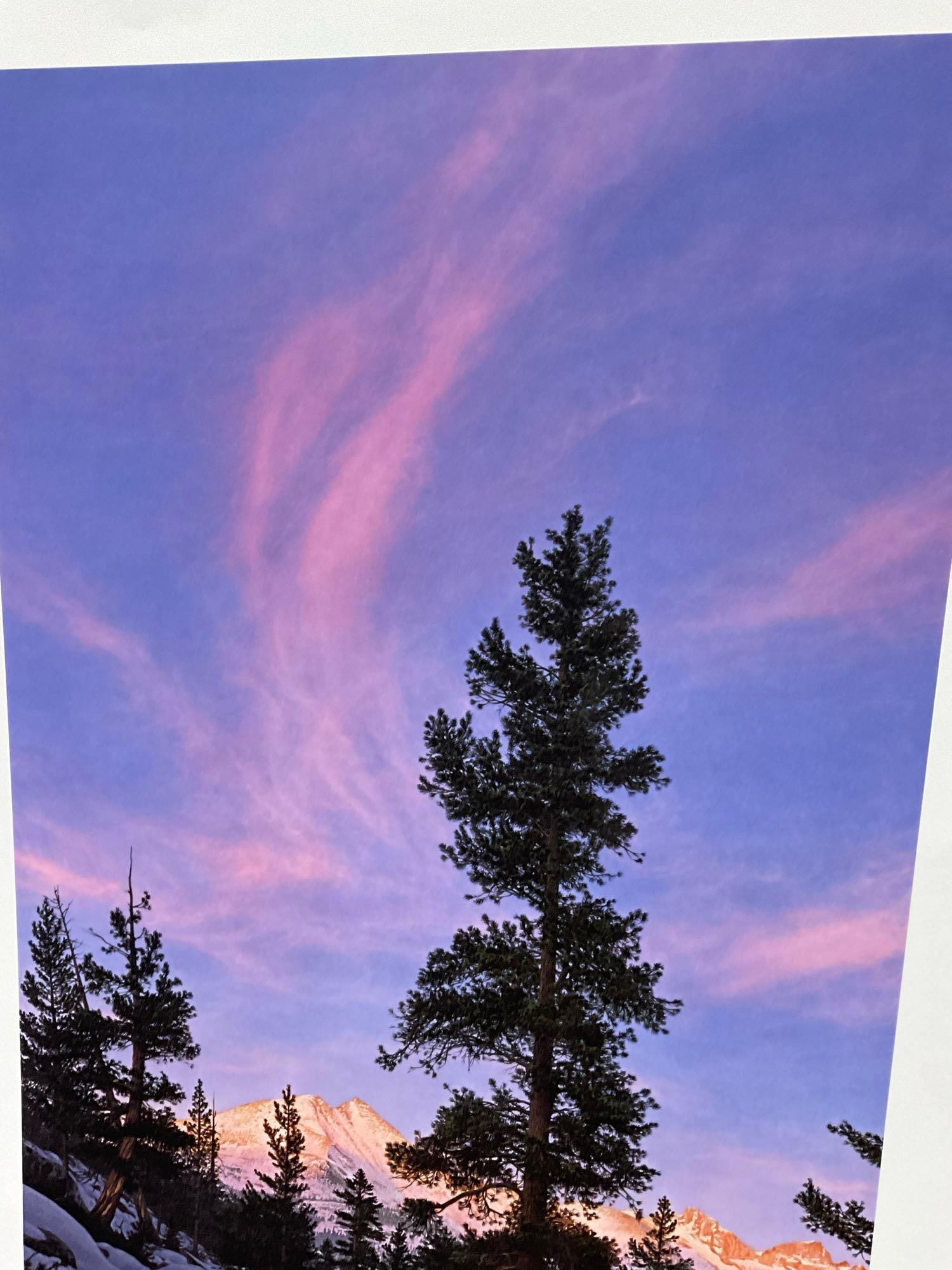 Unframed Signed & #d 3696/8500 Lithograph titled Fire Dance by Stephen Lyman 1993, 23x41 inch w/COA - 4