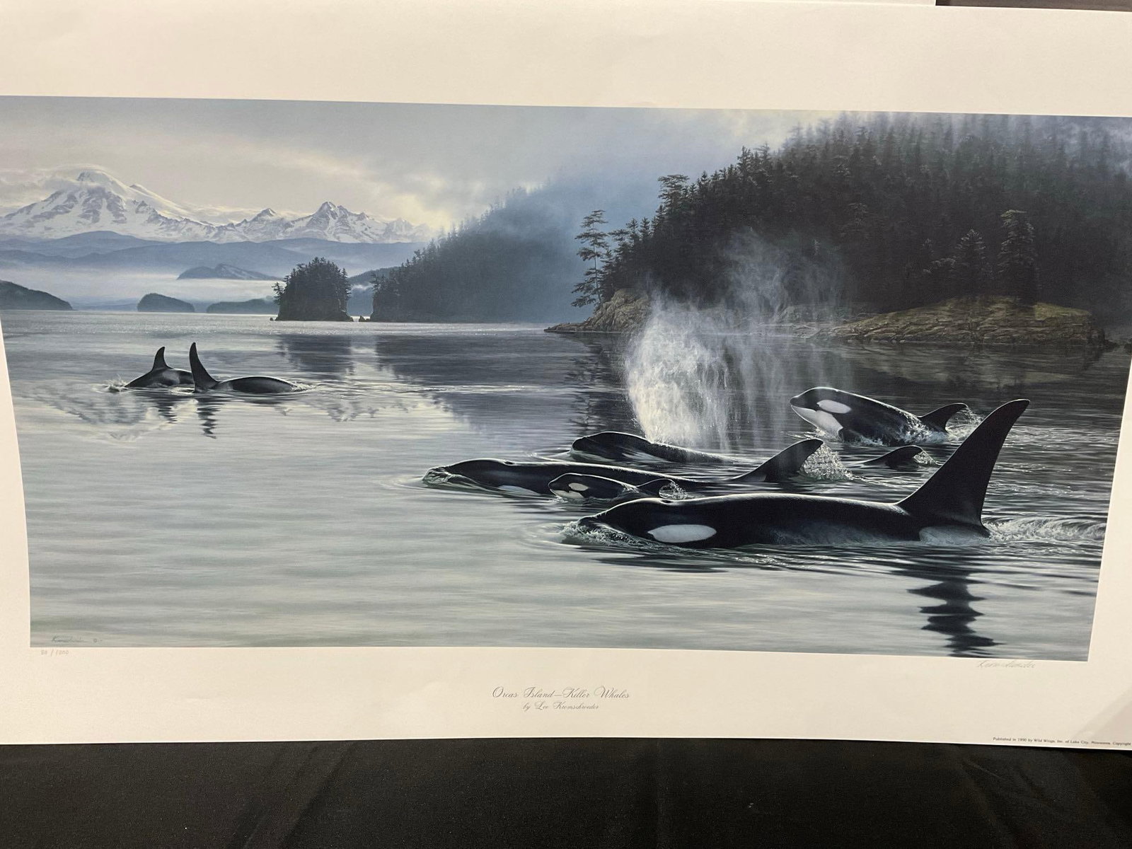 Unframed Signed & #d 80/1200 Litho titled Orcas Island - Killer Whales by Lee Kromschroeder 28x39... - 2
