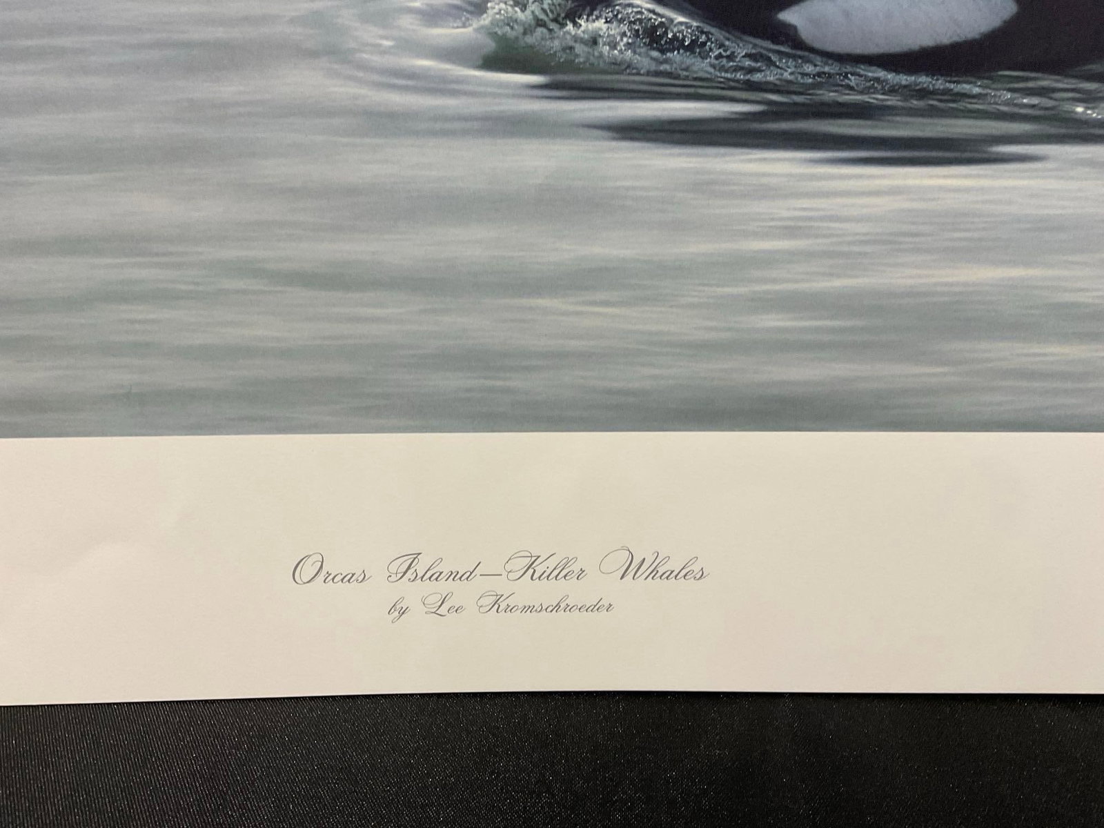 Unframed Signed & #d 80/1200 Litho titled Orcas Island - Killer Whales by Lee Kromschroeder 28x39... - 5