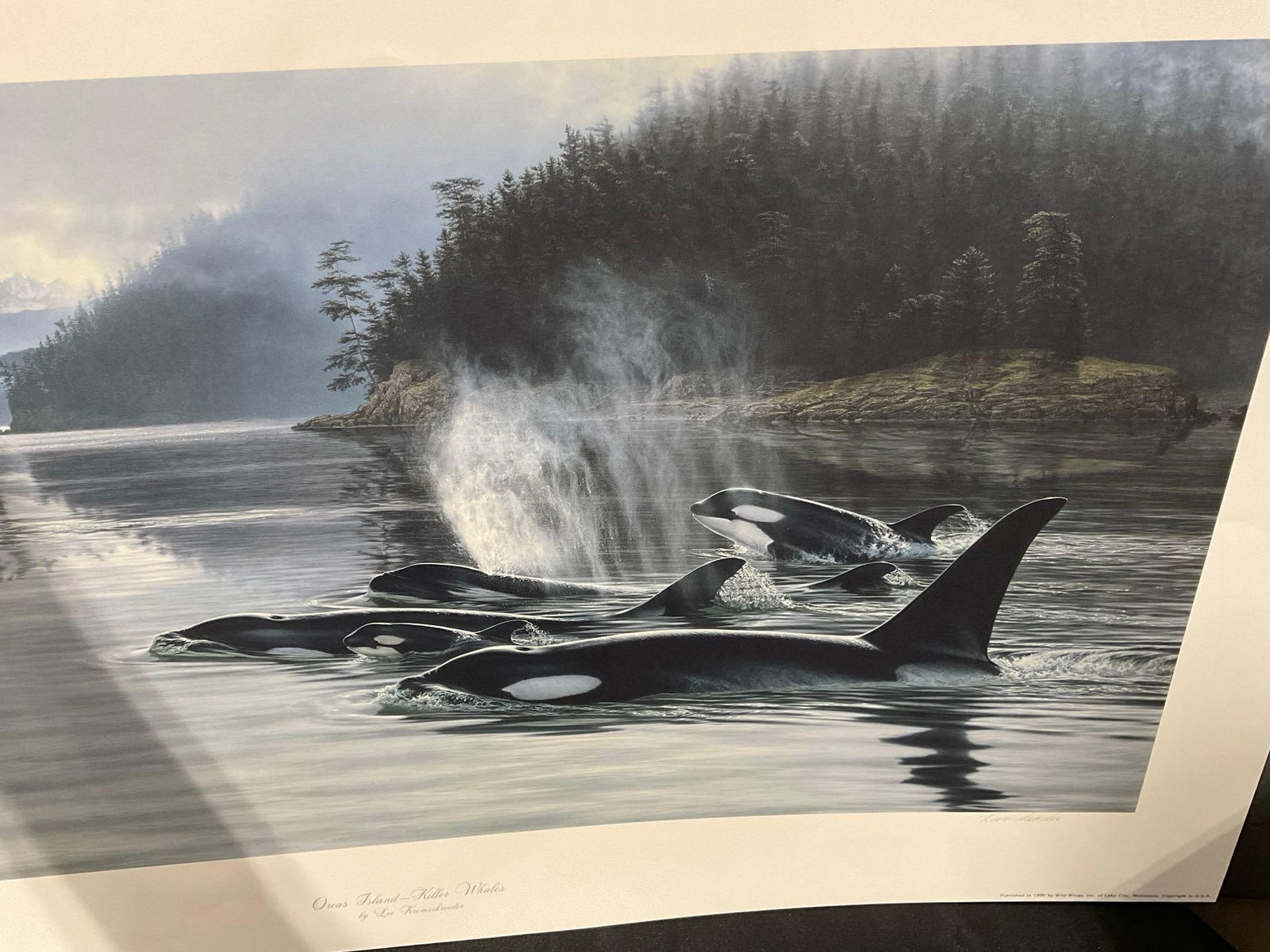 Unframed Signed & #d 80/1200 Litho titled Orcas Island - Killer Whales by Lee Kromschroeder 28x39... - 7