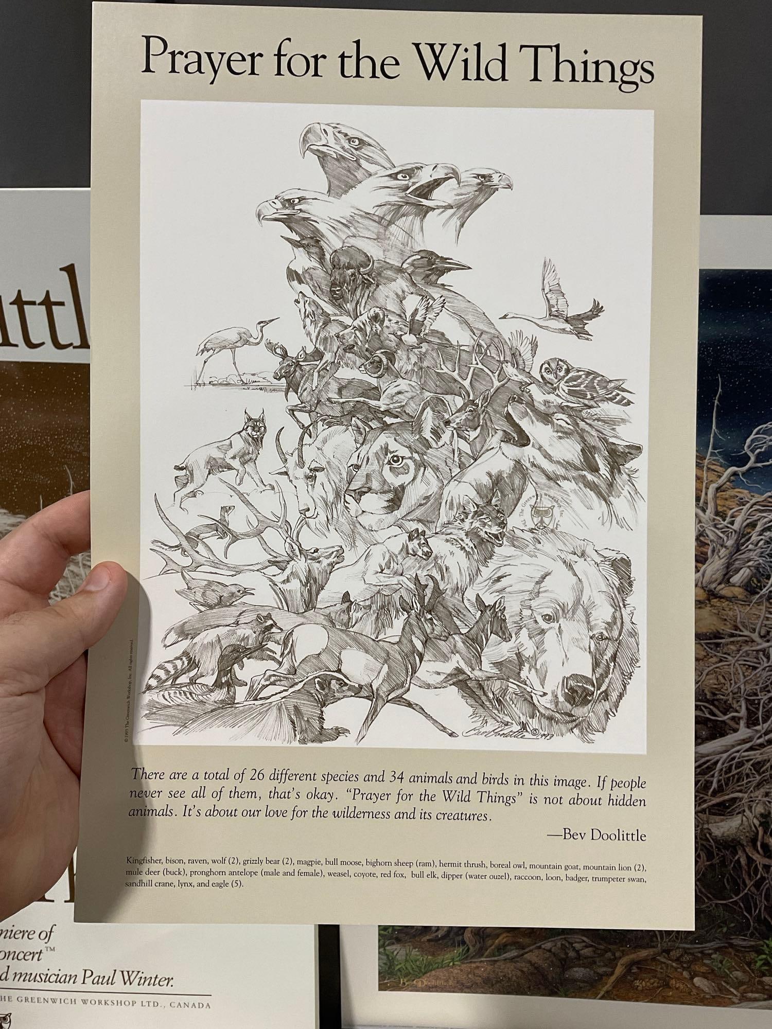 Unframed Signed & #d 13645/65000 Litho, Prayer for the Wild Things by Bev Doolittle, 28x41 in - 4