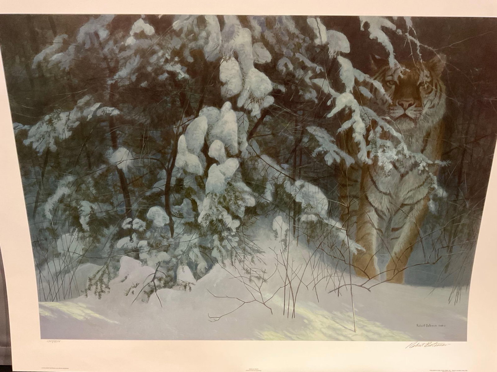 Unframed Signed & #d 1347/2514 Lithograph Siberian Night by Robert Bateman 1998, 29x37 inch - 2