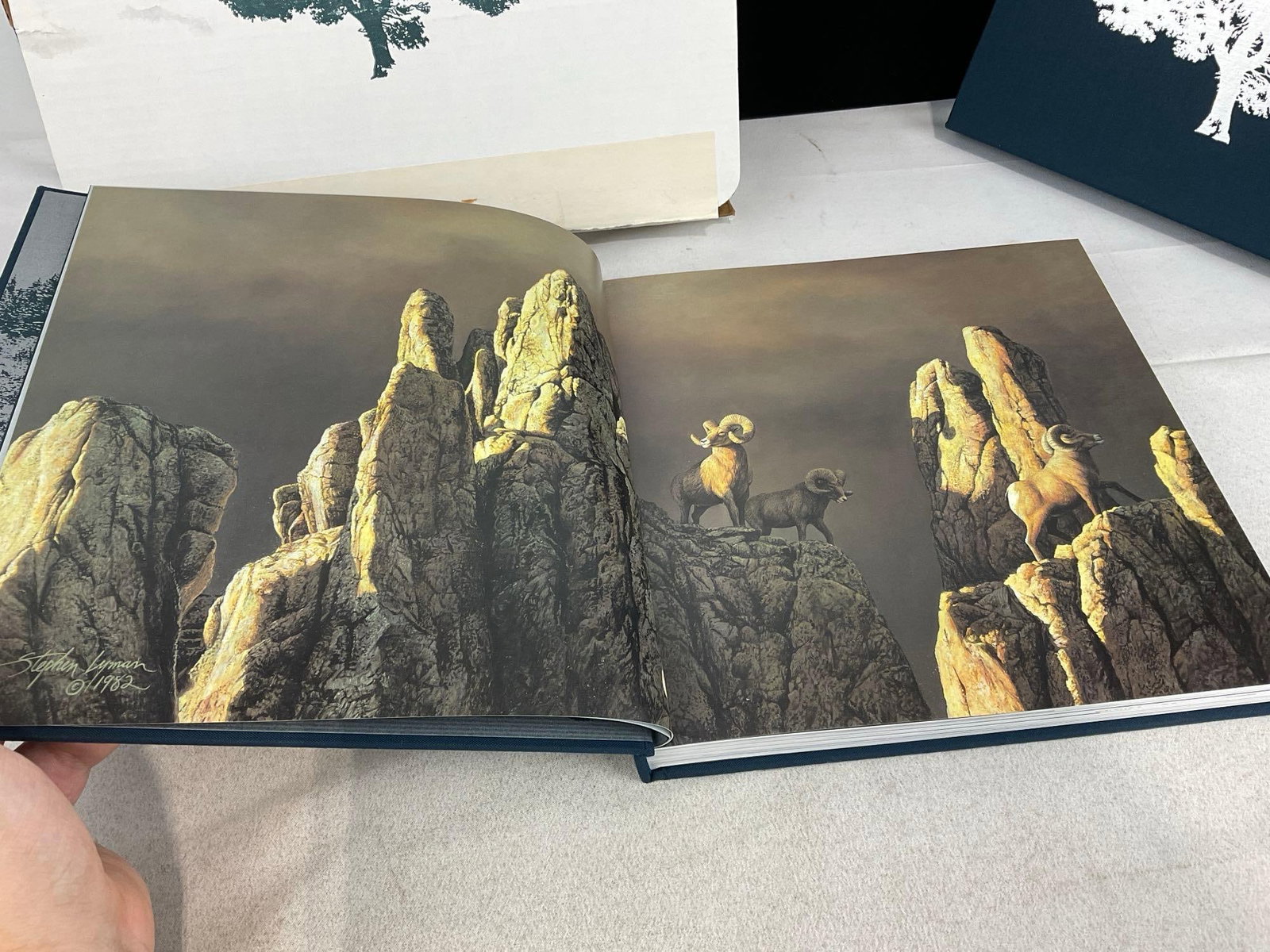 Signed Stephen Lyman Collectors Edition Fine Art Print Book, 13x14x3 inch - 5