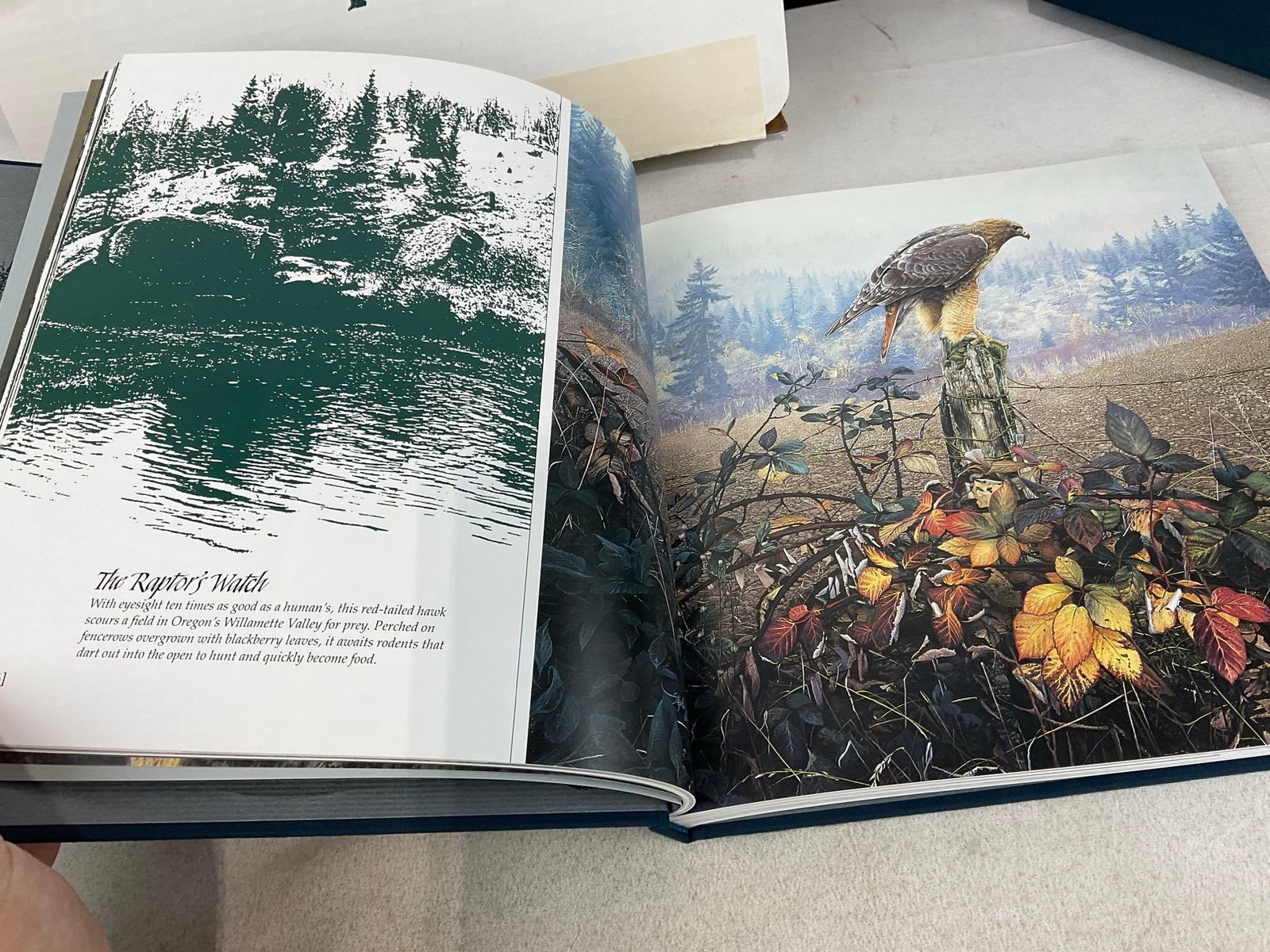 Signed Stephen Lyman Collectors Edition Fine Art Print Book, 13x14x3 inch - 9