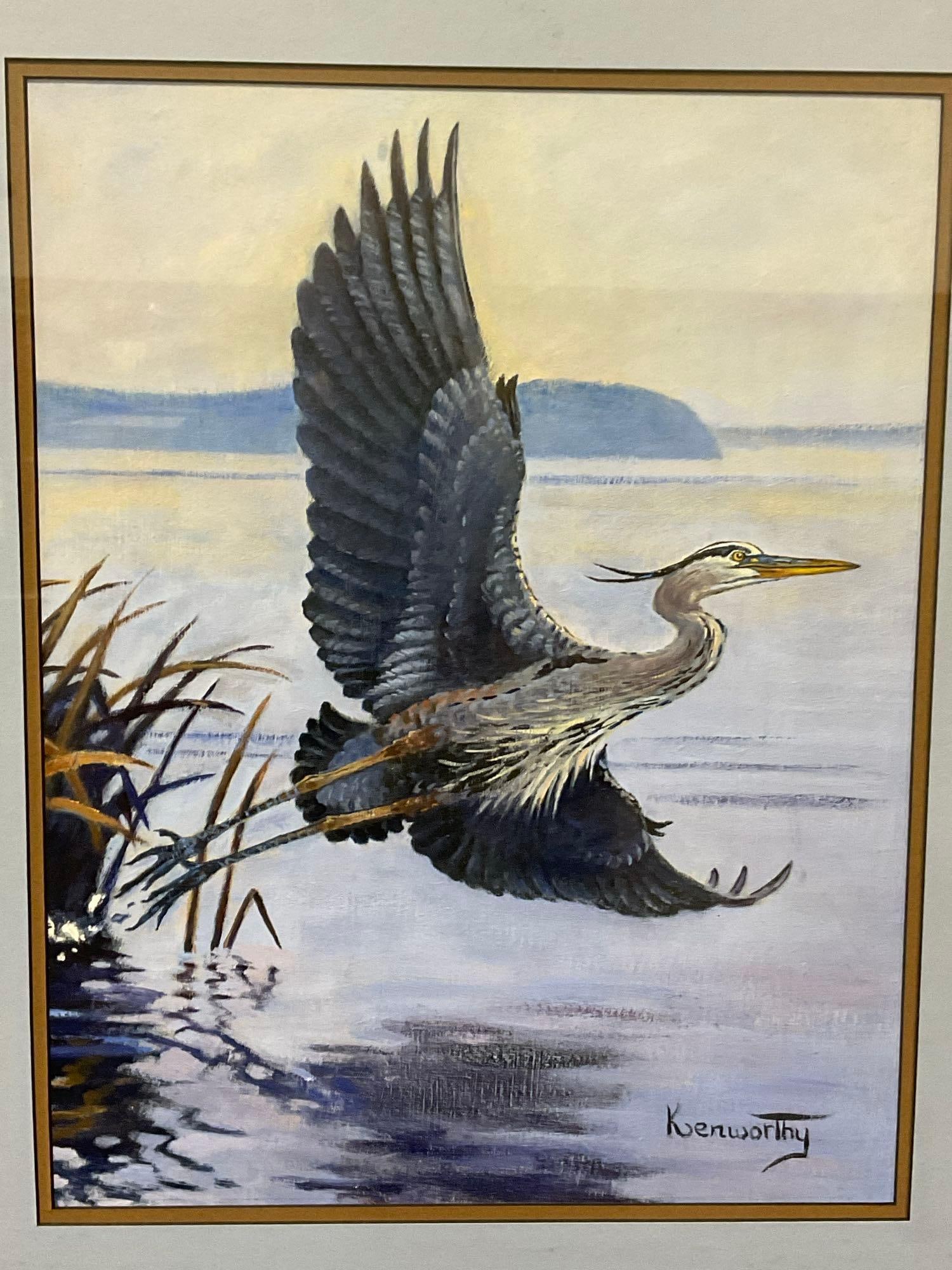 Framed Oil on Canvas, Grey Heron on the coast, signed by artist, Kenworthy, 31x25 inch: Appears to be in good shape. The piece measures approx 31h x 25w x 3d inches. See pics. E-6410
