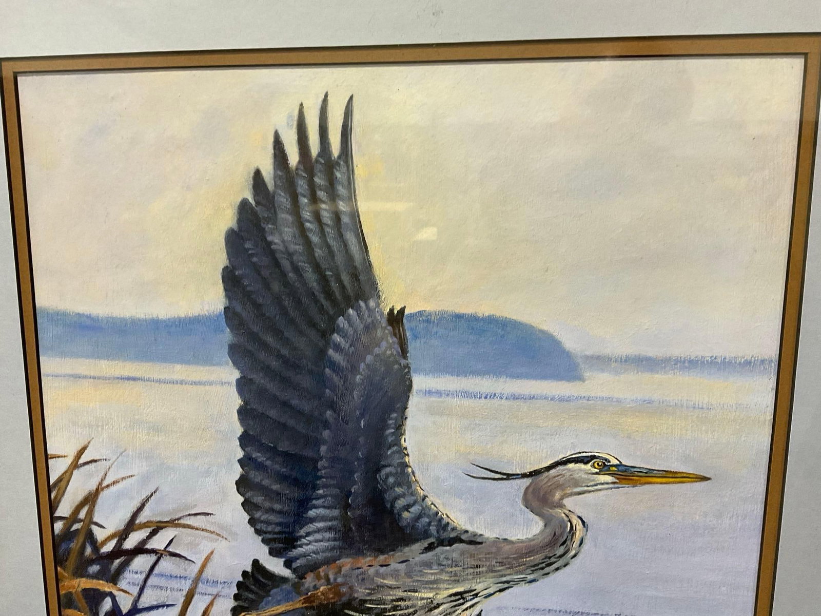 Framed Oil on Canvas, Grey Heron on the coast, signed by artist, Kenworthy, 31x25 inch - 2
