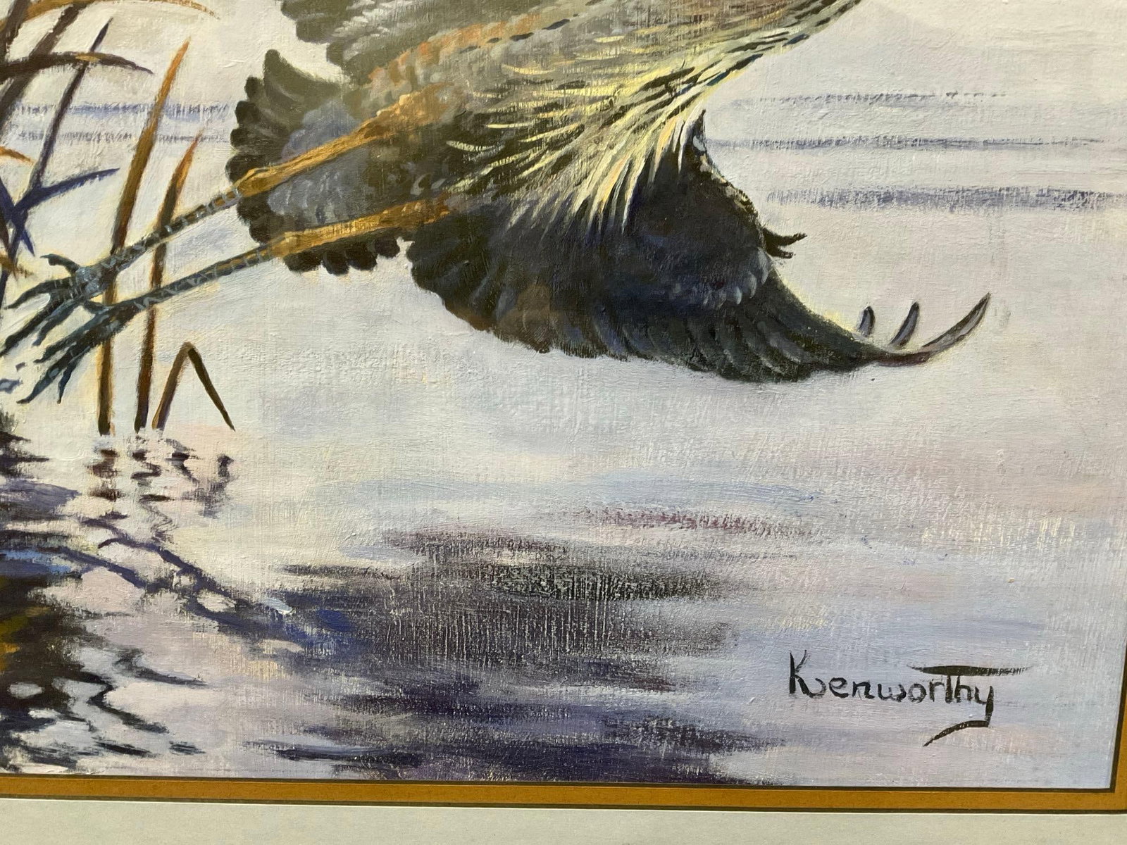 Framed Oil on Canvas, Grey Heron on the coast, signed by artist, Kenworthy, 31x25 inch - 3