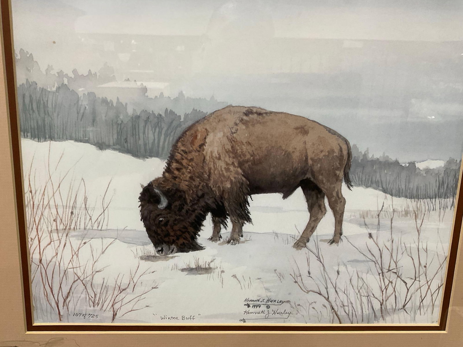 Framed Signed & #d 107/725, Winter Buff by Kenneth J. Hurley 1994, 20x24 in, Buffalo in the Snow - 2