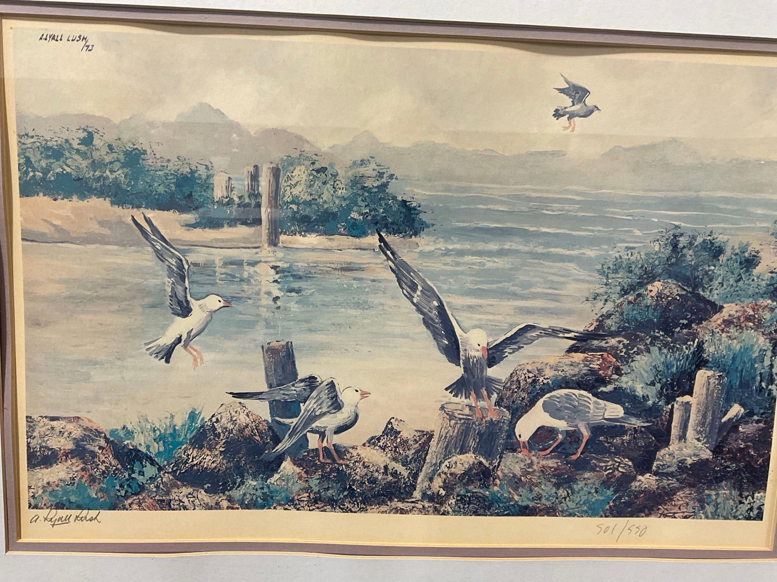 Framed Signed & #d 501/550 Litho, Seagulls on the coast, by A. Lyall Lush, 18x25 inch - 2