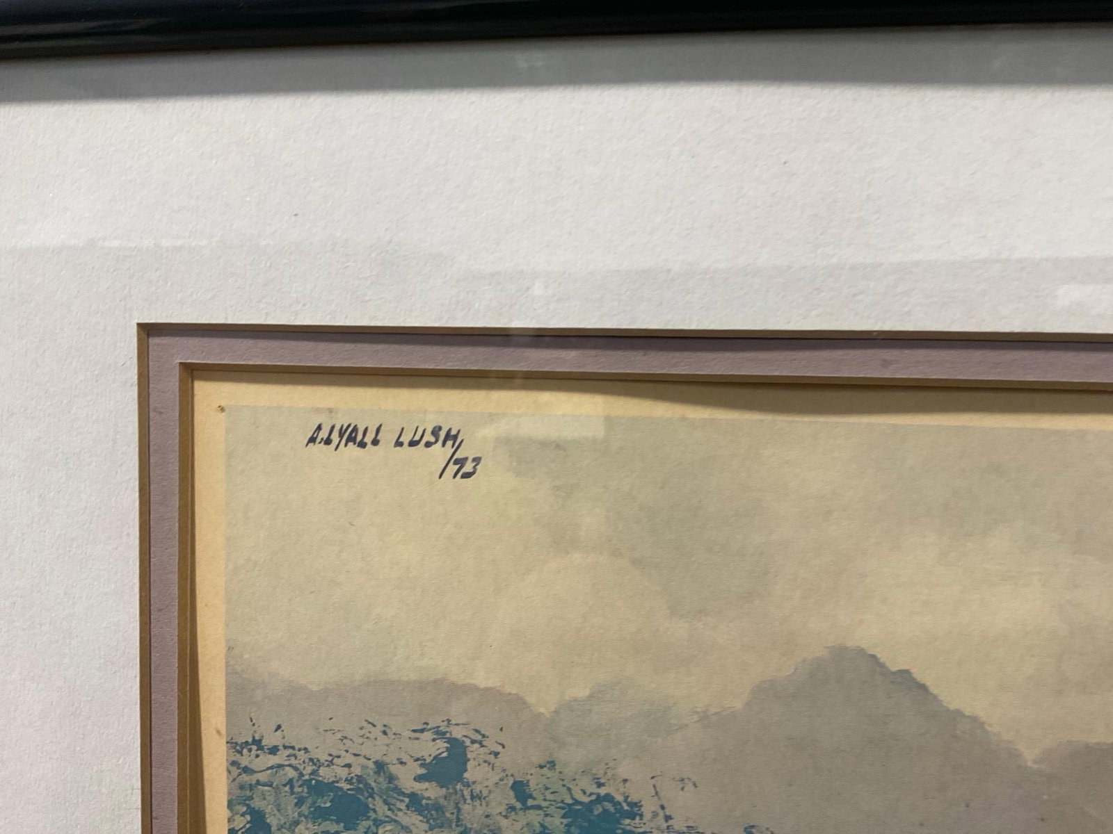 Framed Signed & #d 501/550 Litho, Seagulls on the coast, by A. Lyall Lush, 18x25 inch - 3