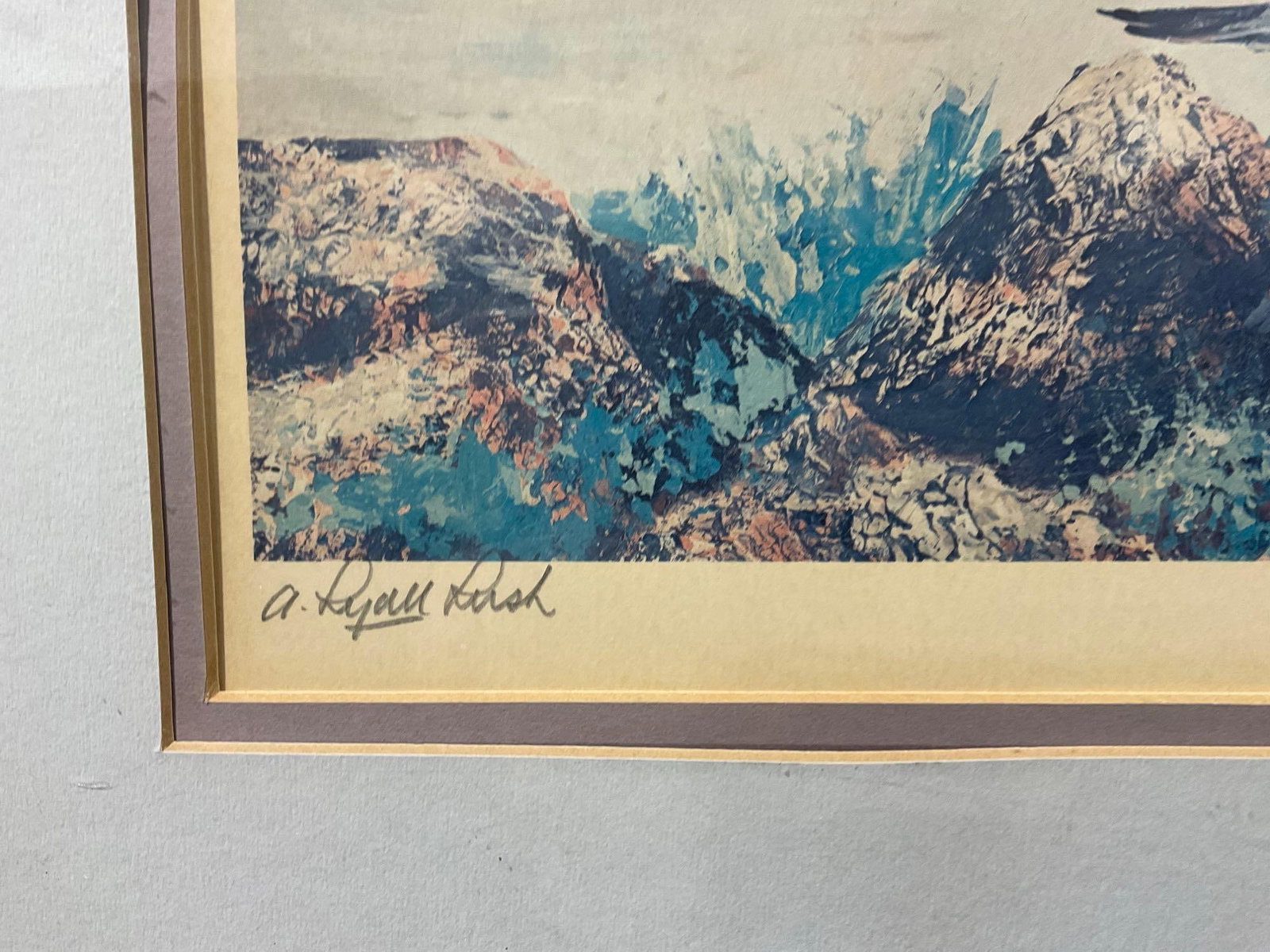 Framed Signed & #d 501/550 Litho, Seagulls on the coast, by A. Lyall Lush, 18x25 inch - 4