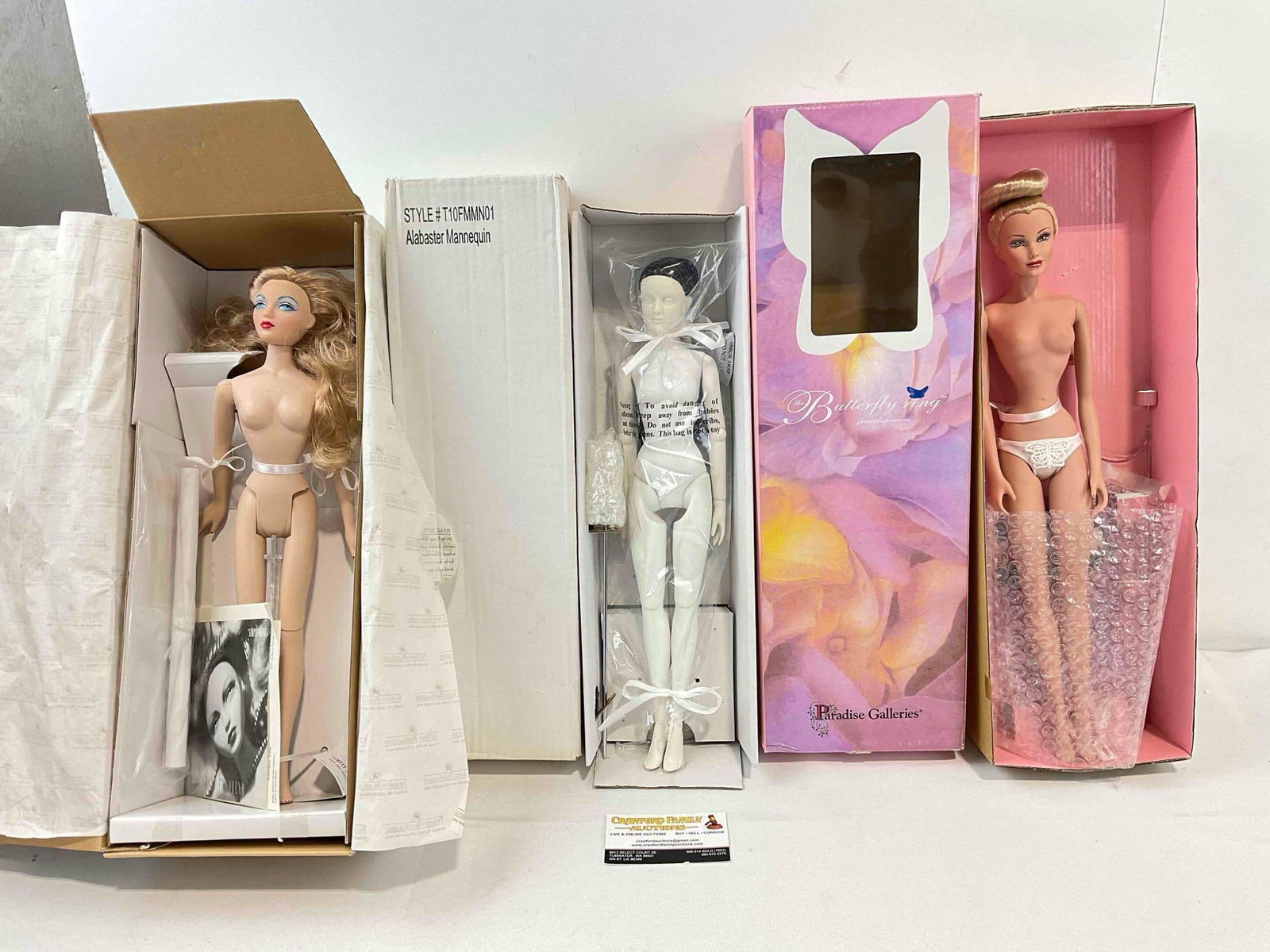3 pcs Fashion Dolls in Original Boxes, incl. Paradise Galleries The Butterfly Wing, Tonner & More! (1 of 5)
